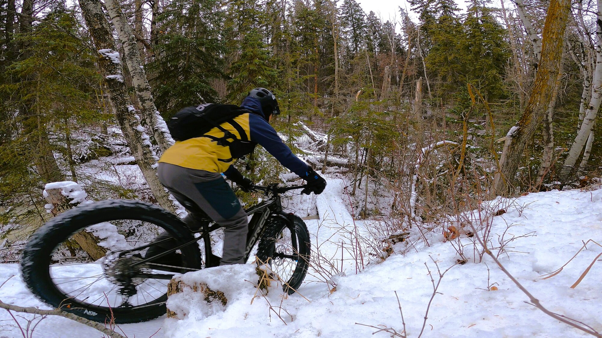 GH013071 - frame at 0m44s.jpg