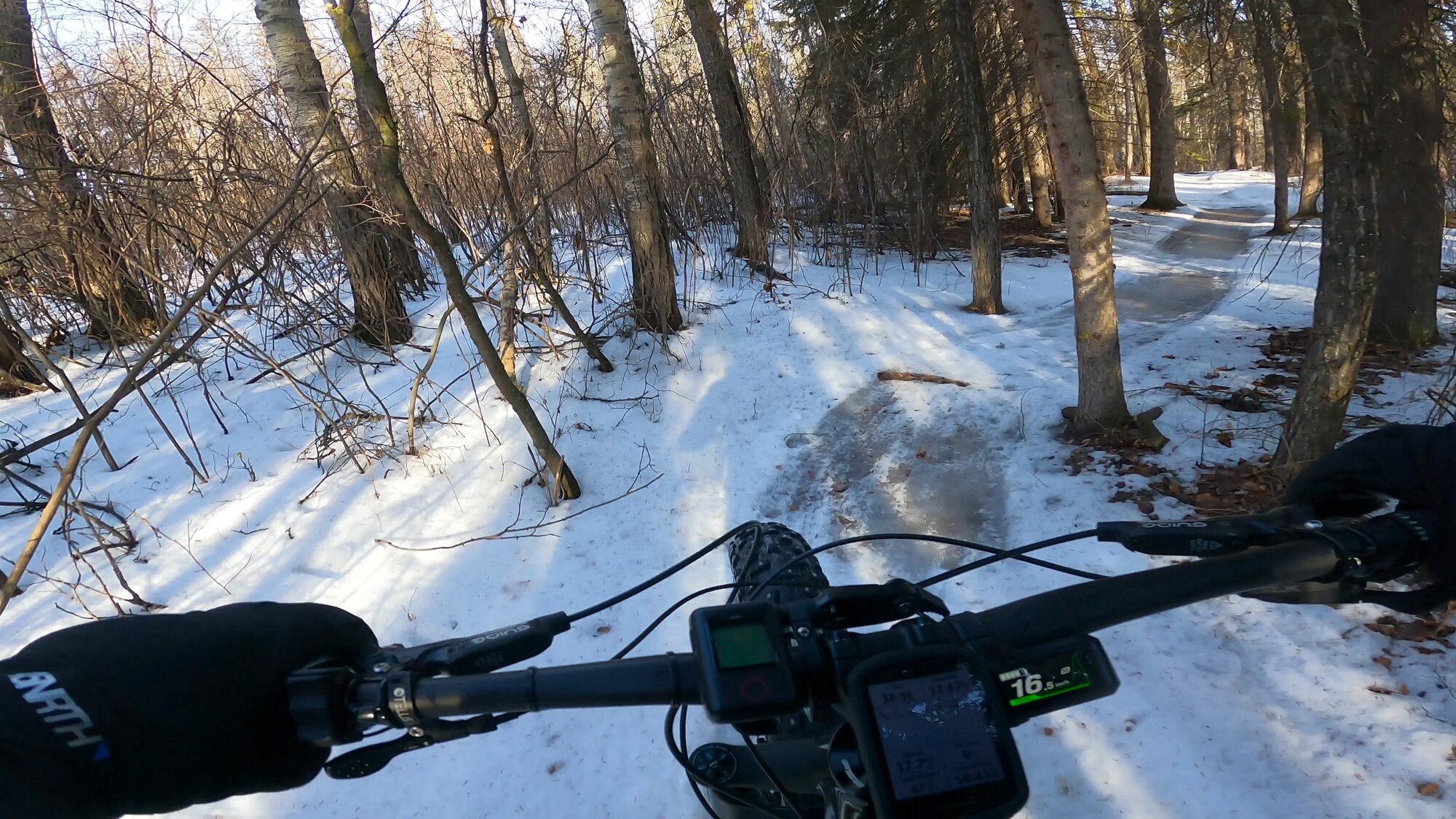 GH013155 - frame at 0m56s.jpg