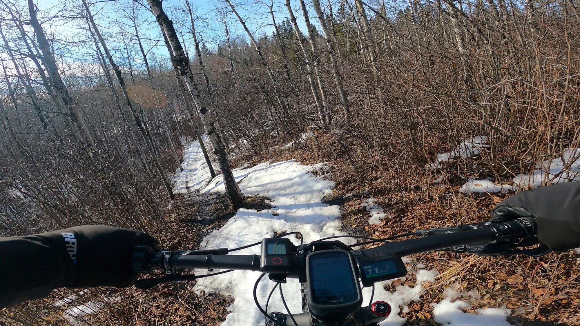 GH013160 - frame at 1m18s.jpg