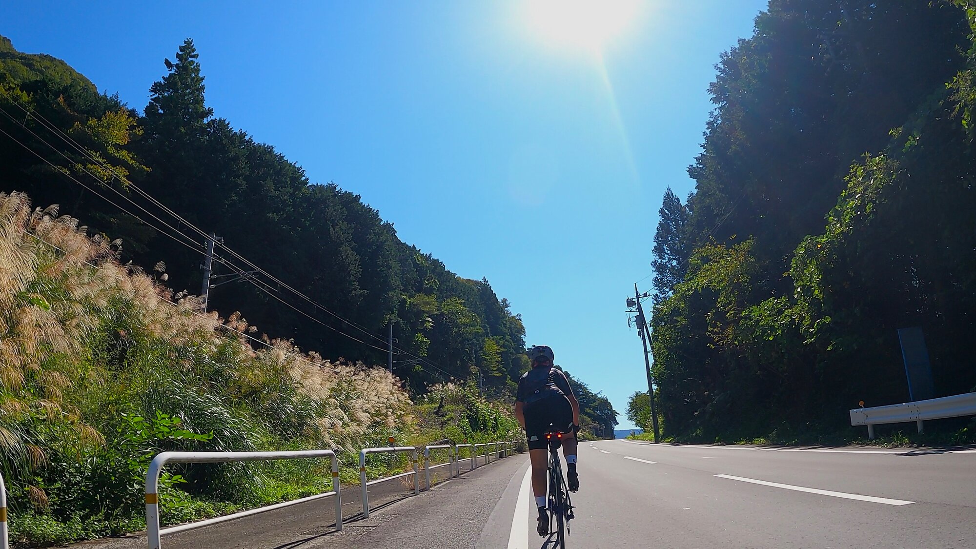 GH013917 - frame at 2m51s.jpg