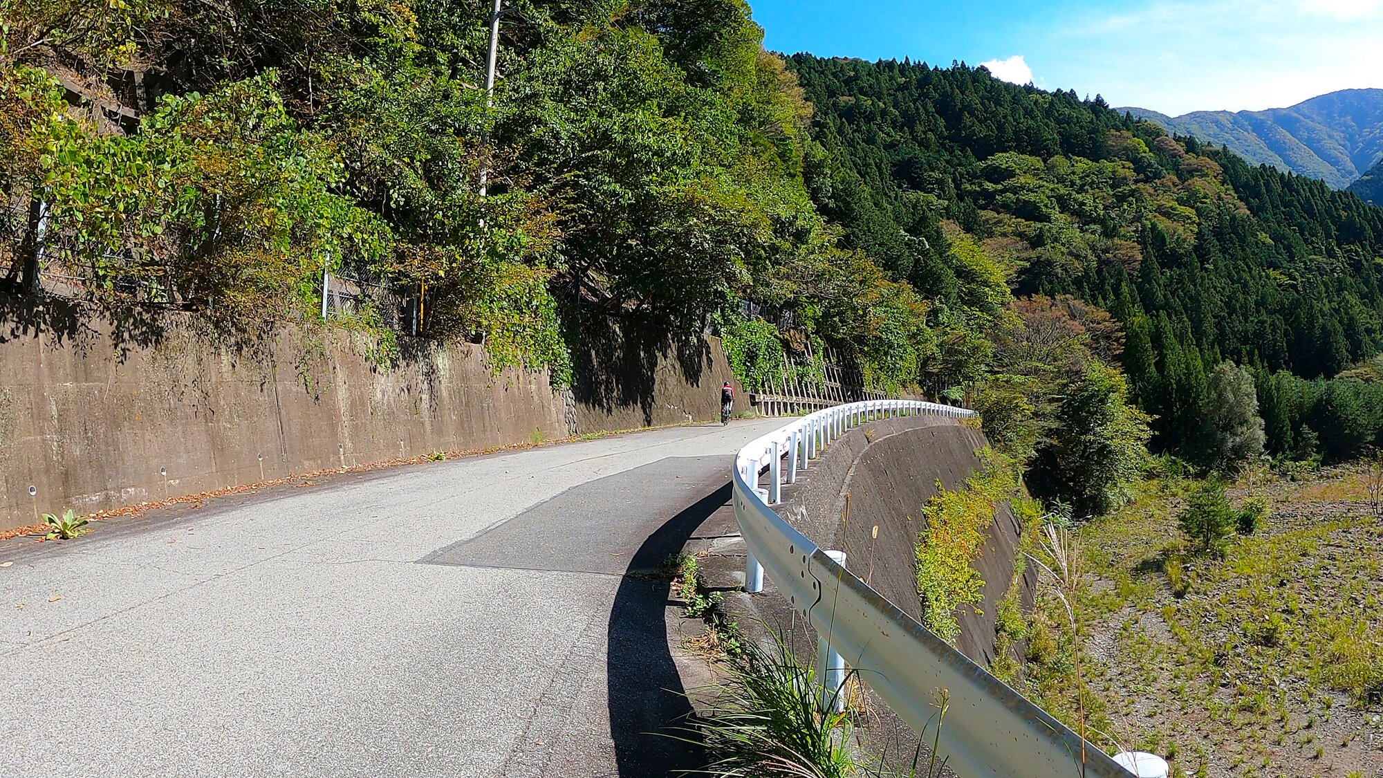 GH014018 - frame at 0m0s.jpg