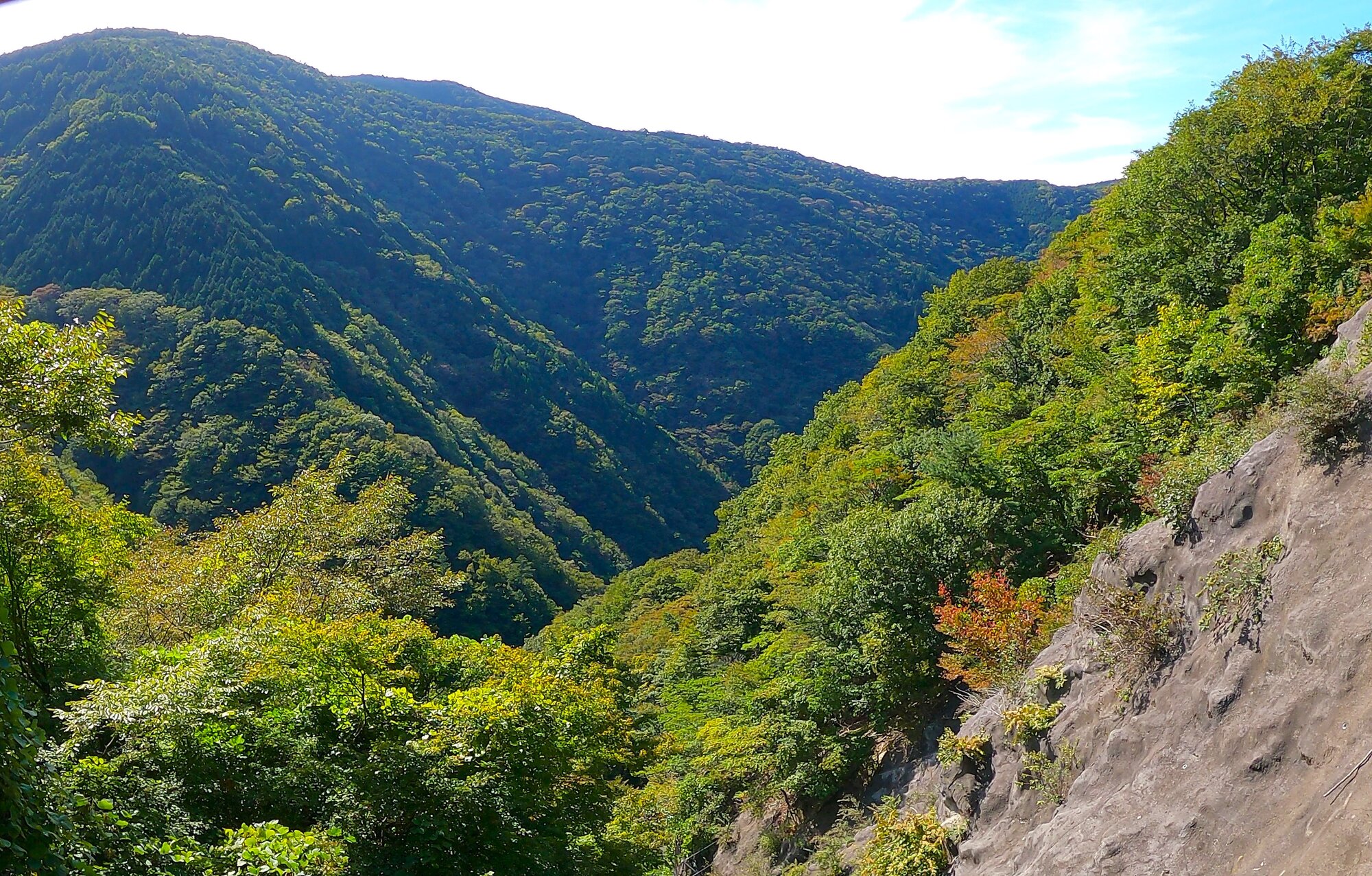 GH014027 - frame at 0m0s.jpg