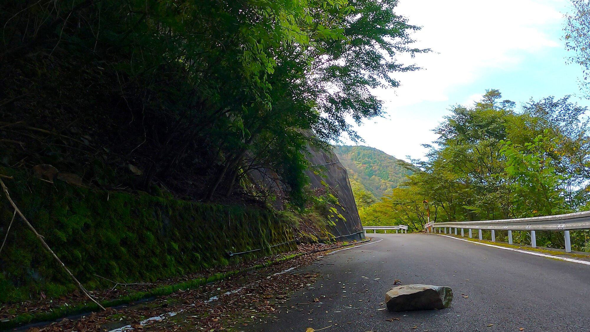 GH014039 - frame at 0m10s.jpg