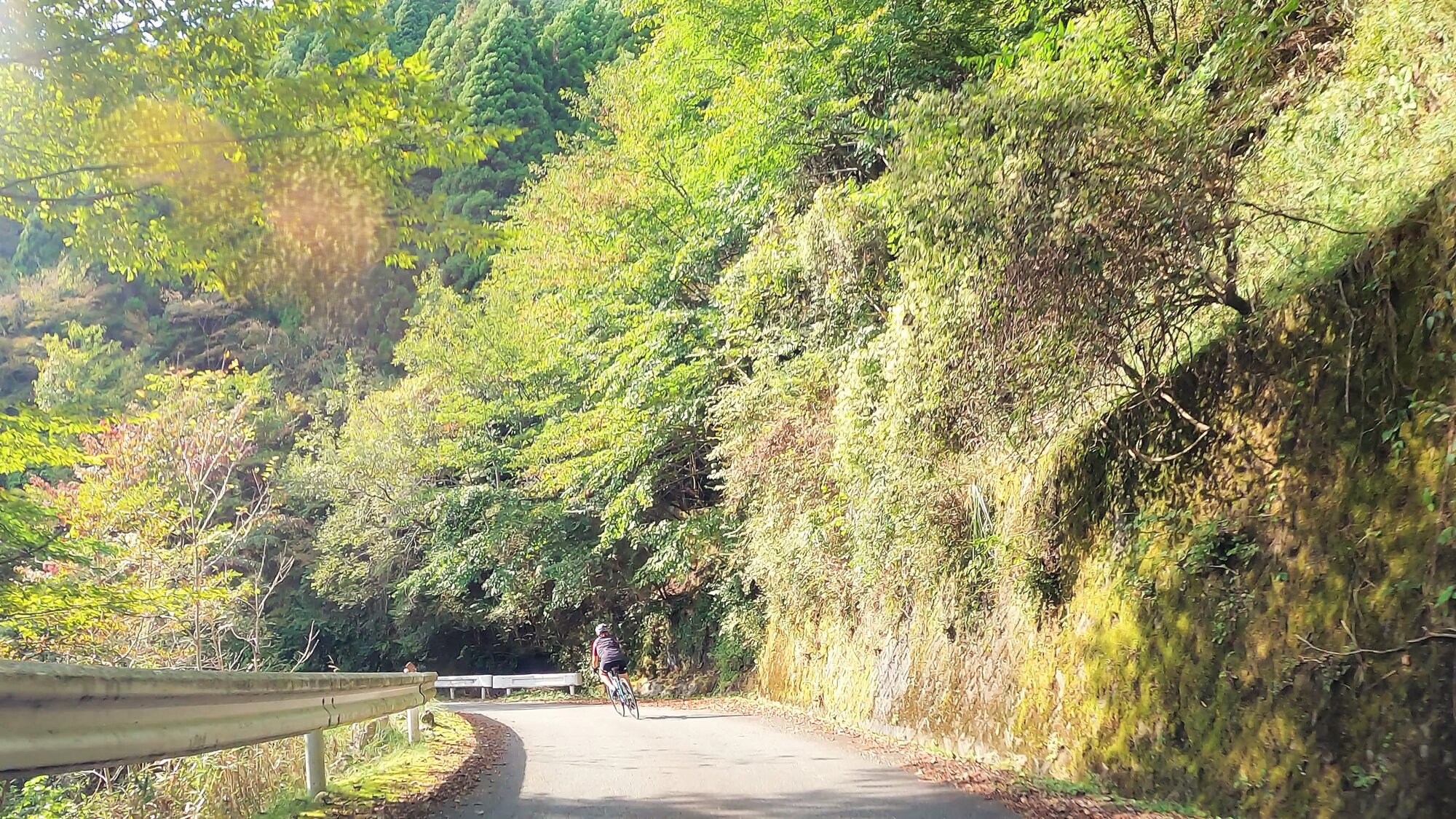 GH014046 - frame at 5m3s.jpg