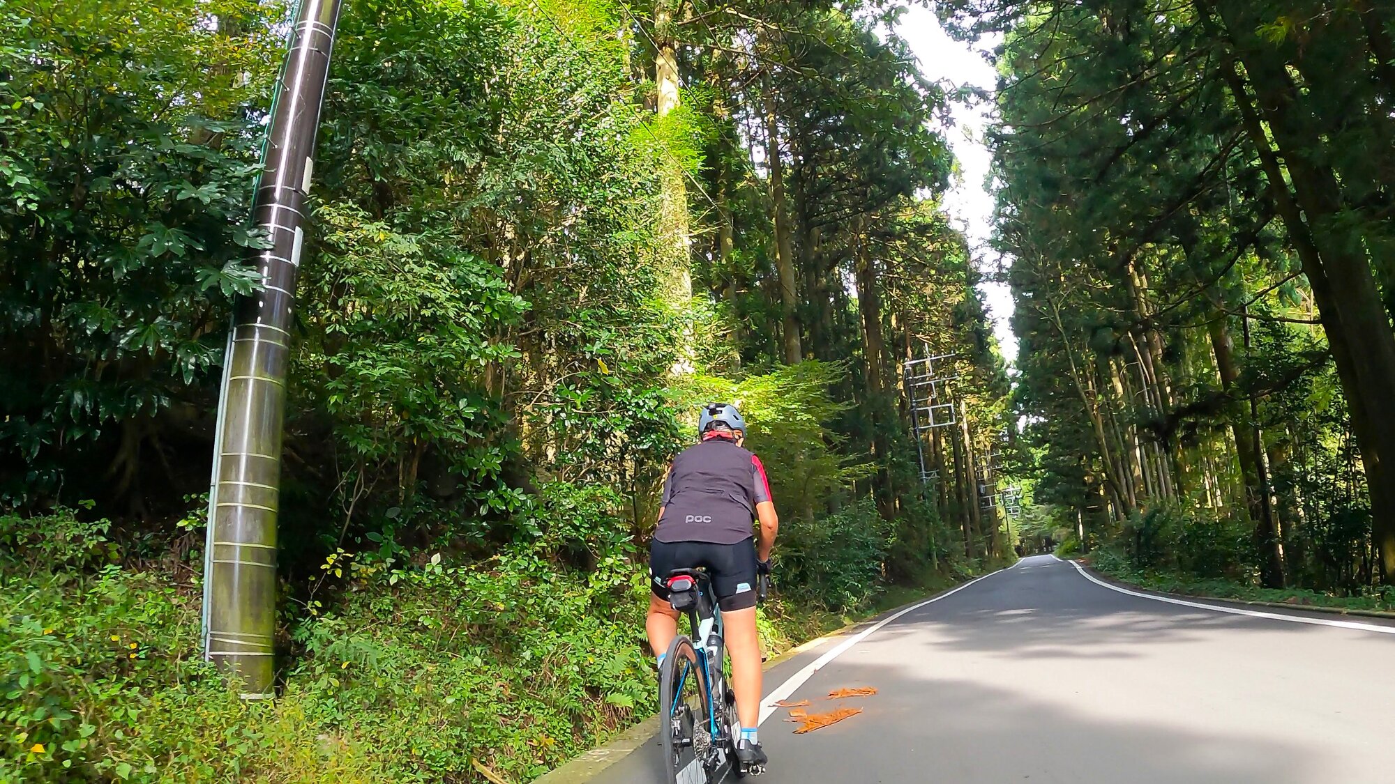 GH014048 - frame at 0m2s.jpg