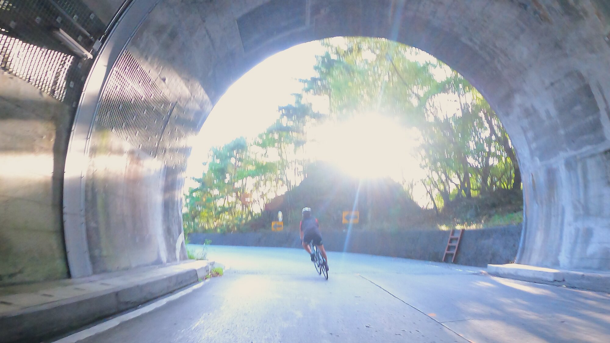 GH014061 - frame at 1m51s.jpg