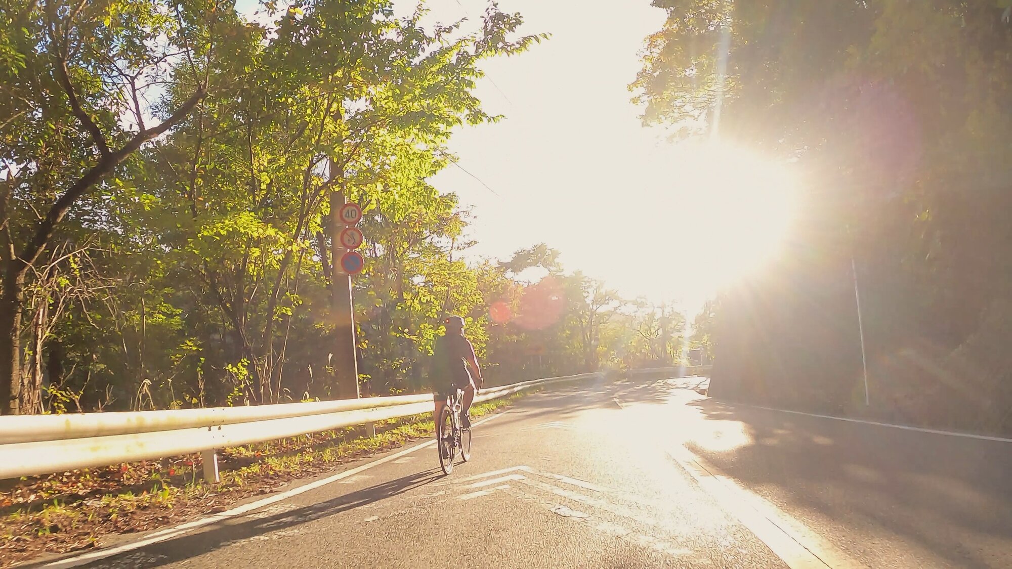 GH014061 - frame at 4m37s.jpg