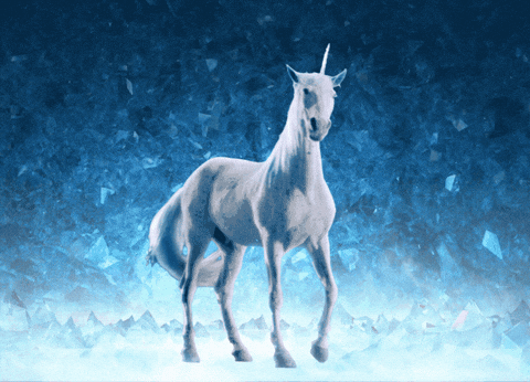 giphy-8.gif