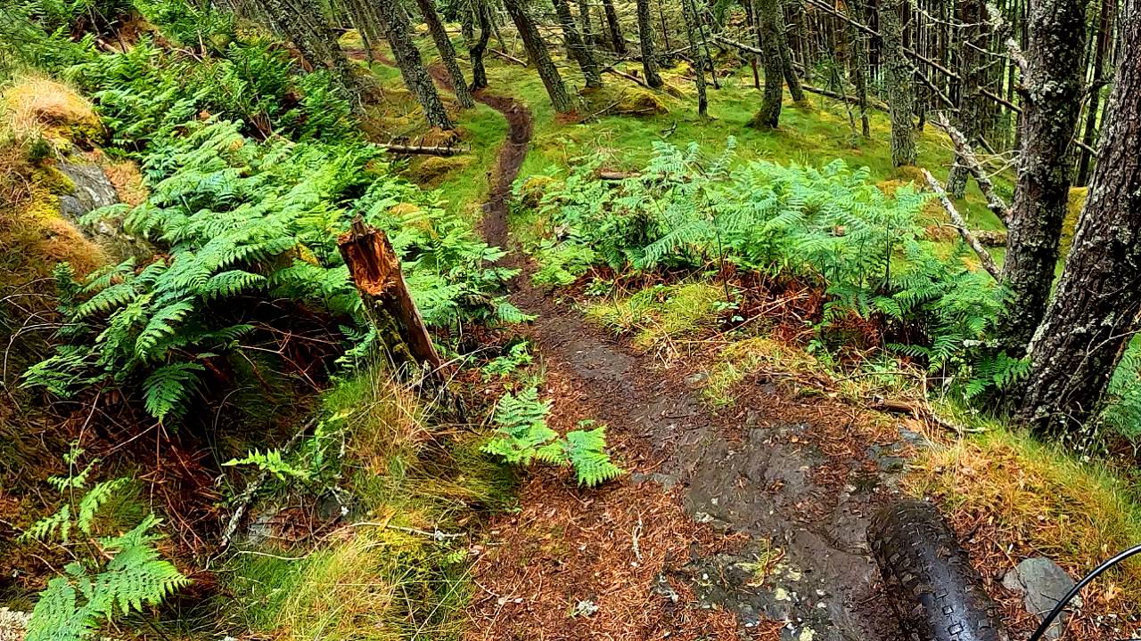 glen7.jpg