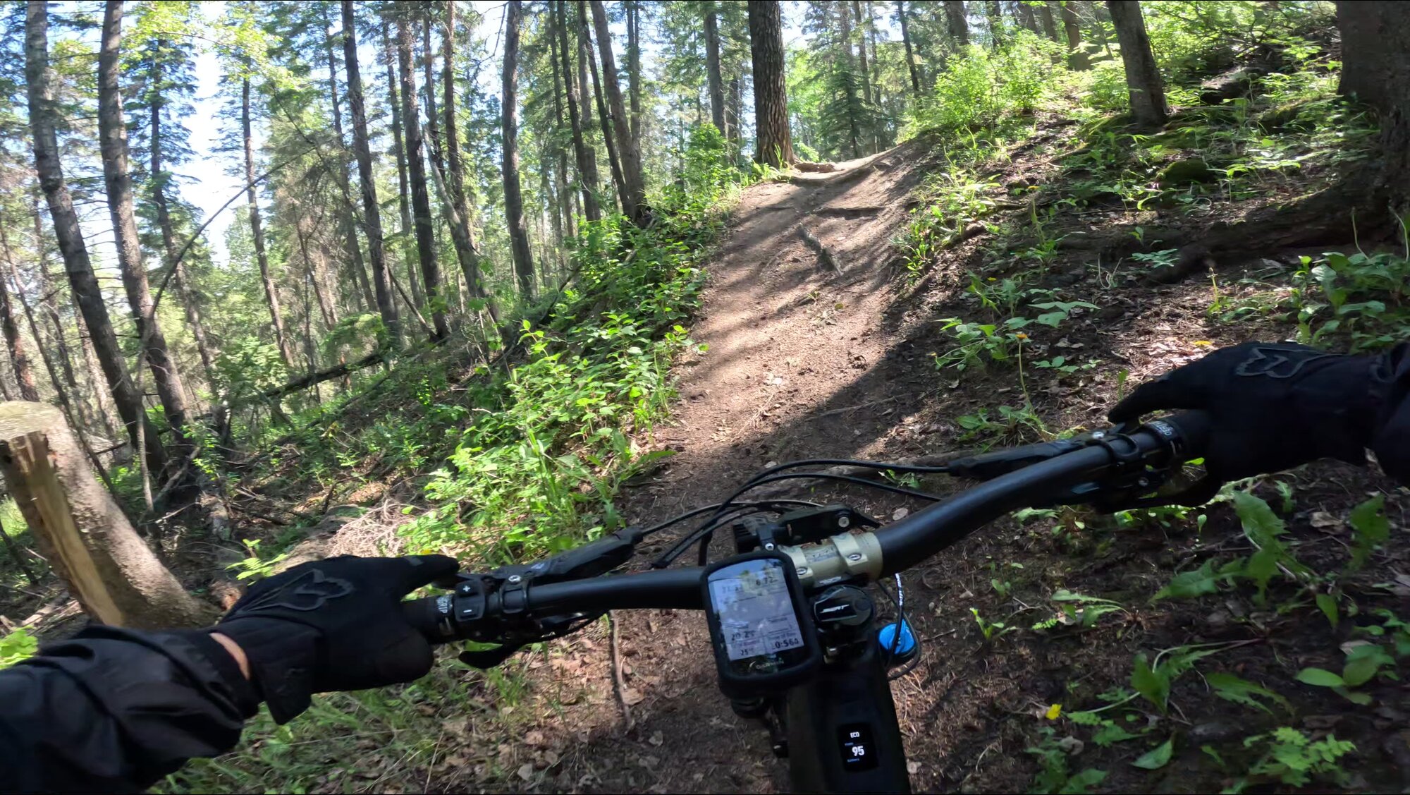 GX010059 - frame at 0m7s.jpg