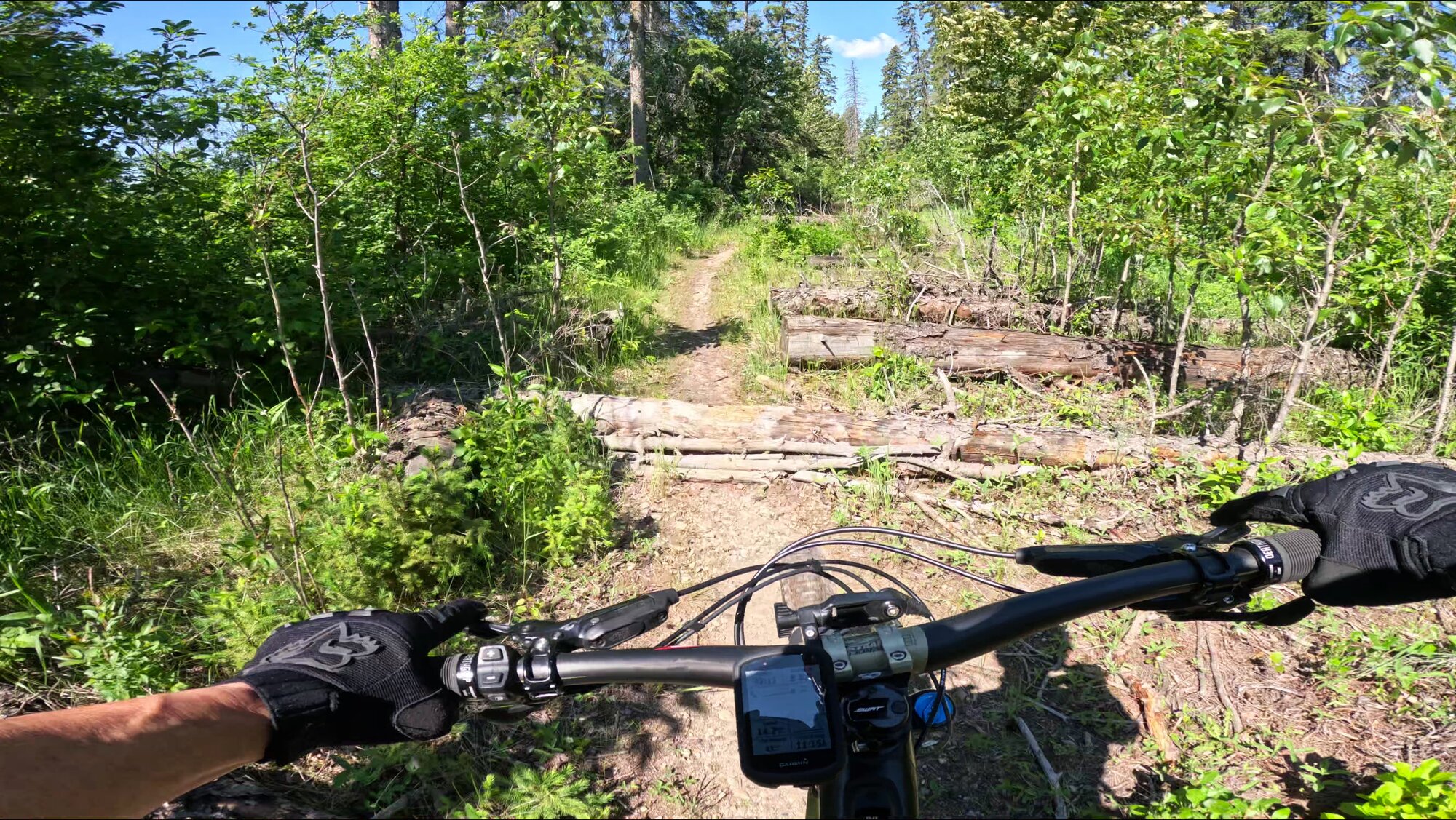 GX010062 - frame at 1m16s.jpg