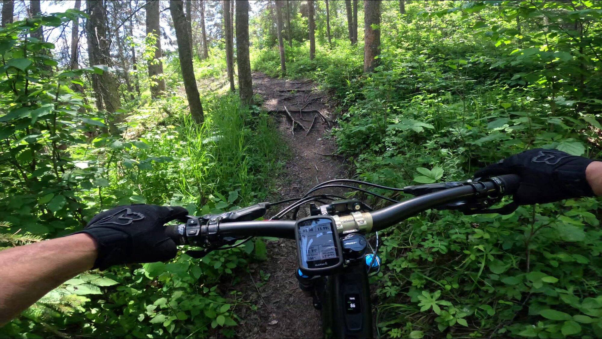 GX010066 - frame at 1m14s.jpg