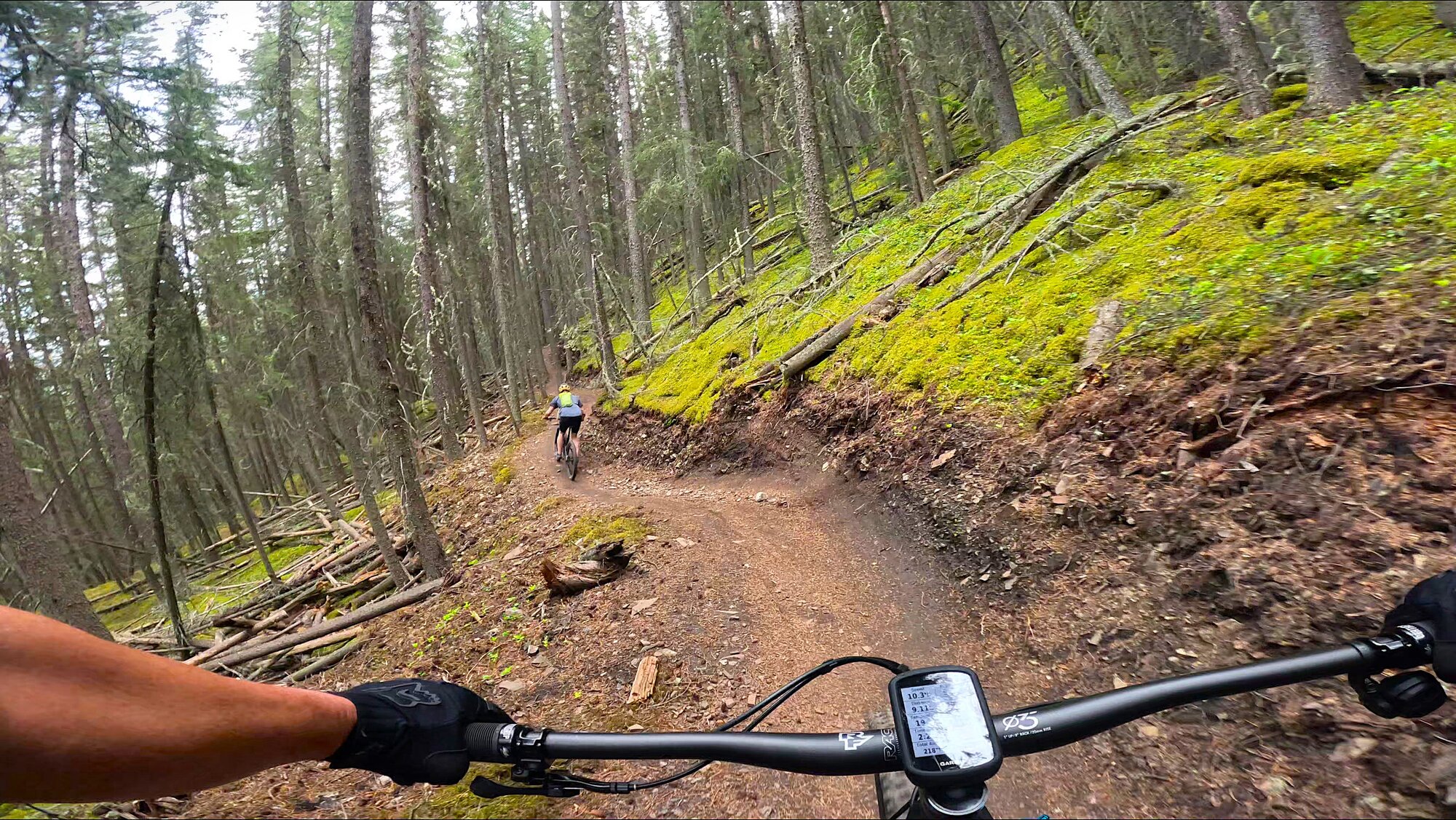 GX010115 - frame at 1m37s.jpg