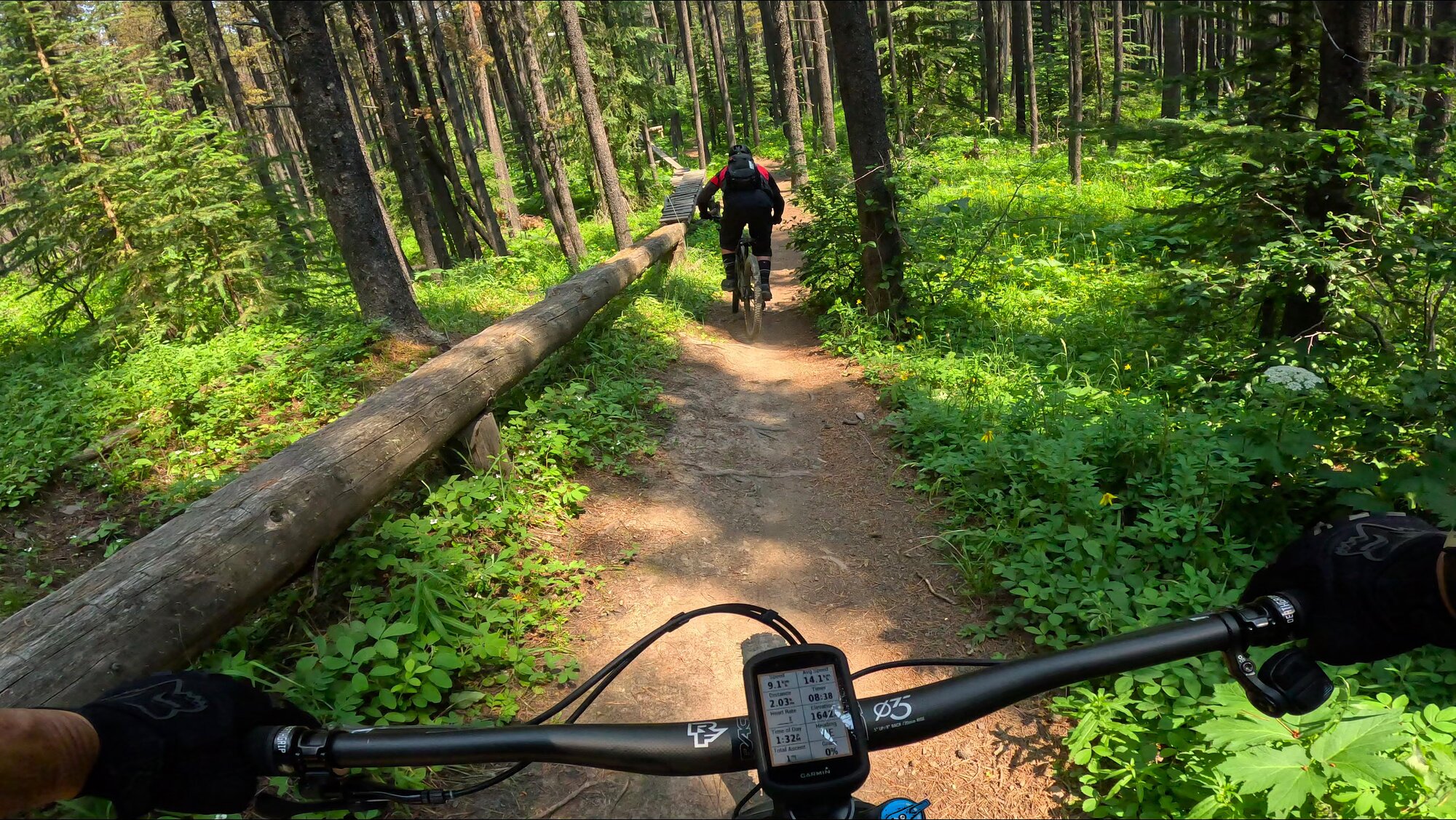 GX010225 - frame at 0m10s.jpg