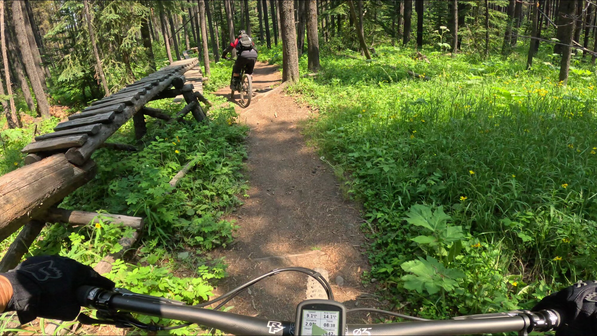 GX010225 - frame at 0m12s.jpg