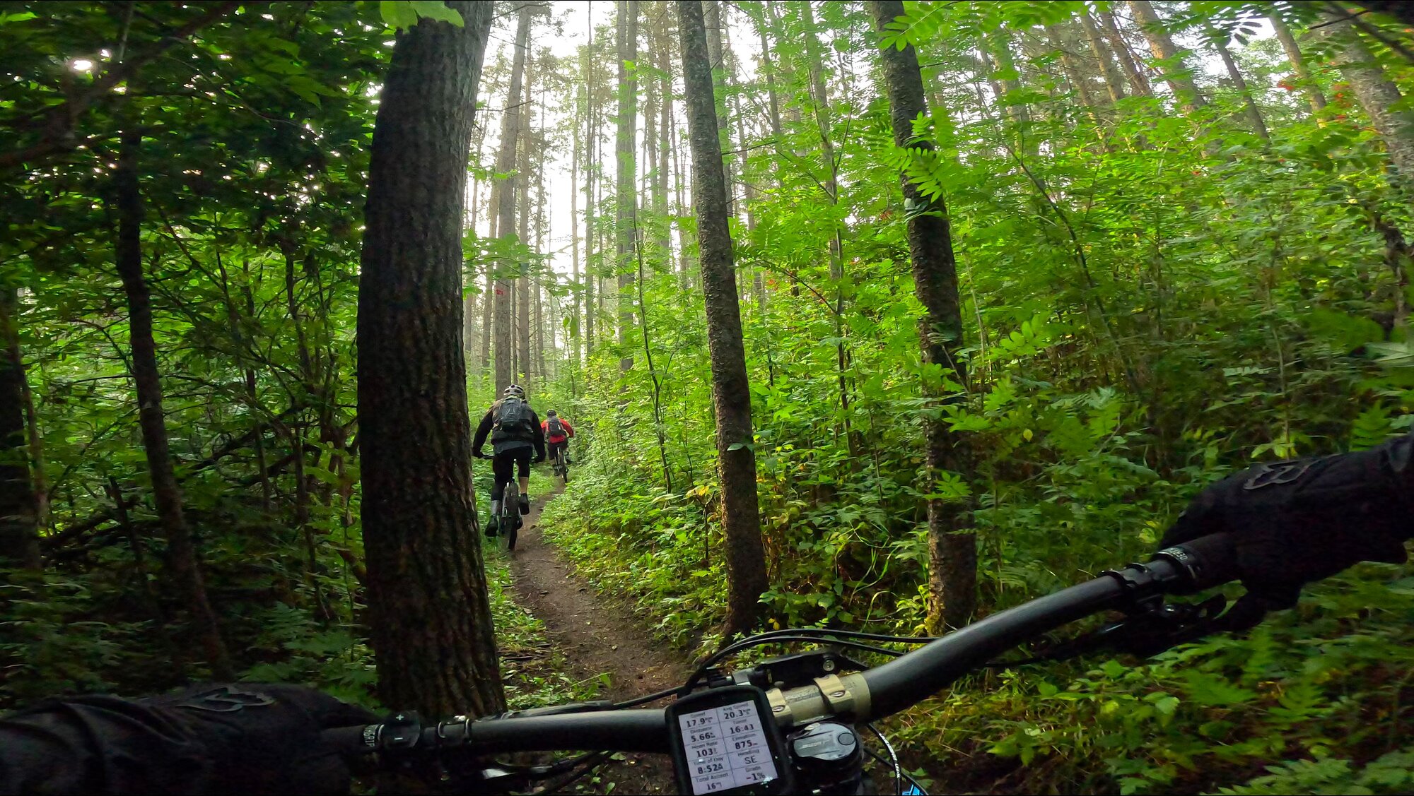 GX010303 - frame at 1m5s.jpg