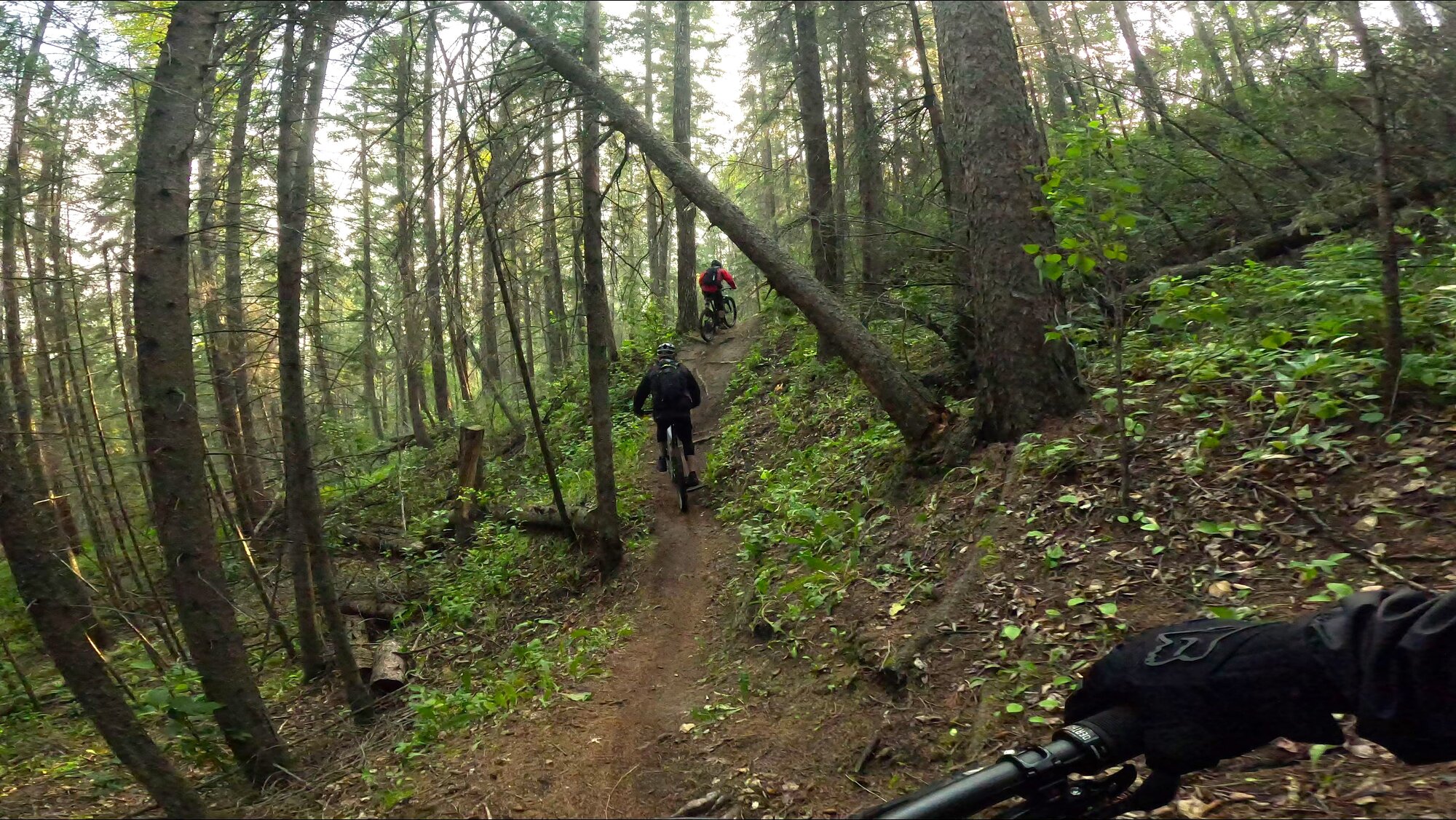 GX010304 - frame at 0m40s.jpg