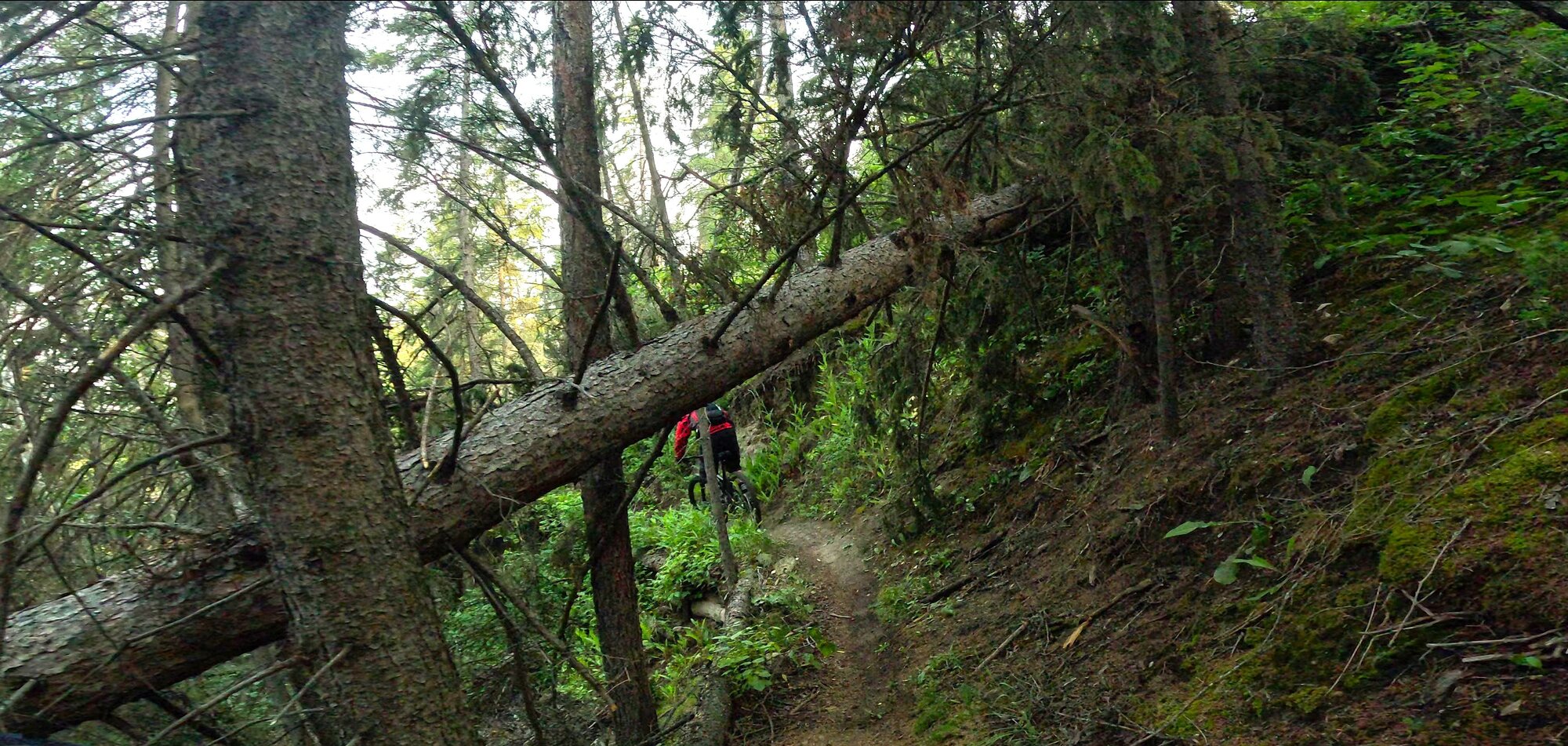 GX010305 - frame at 0m24s.jpg