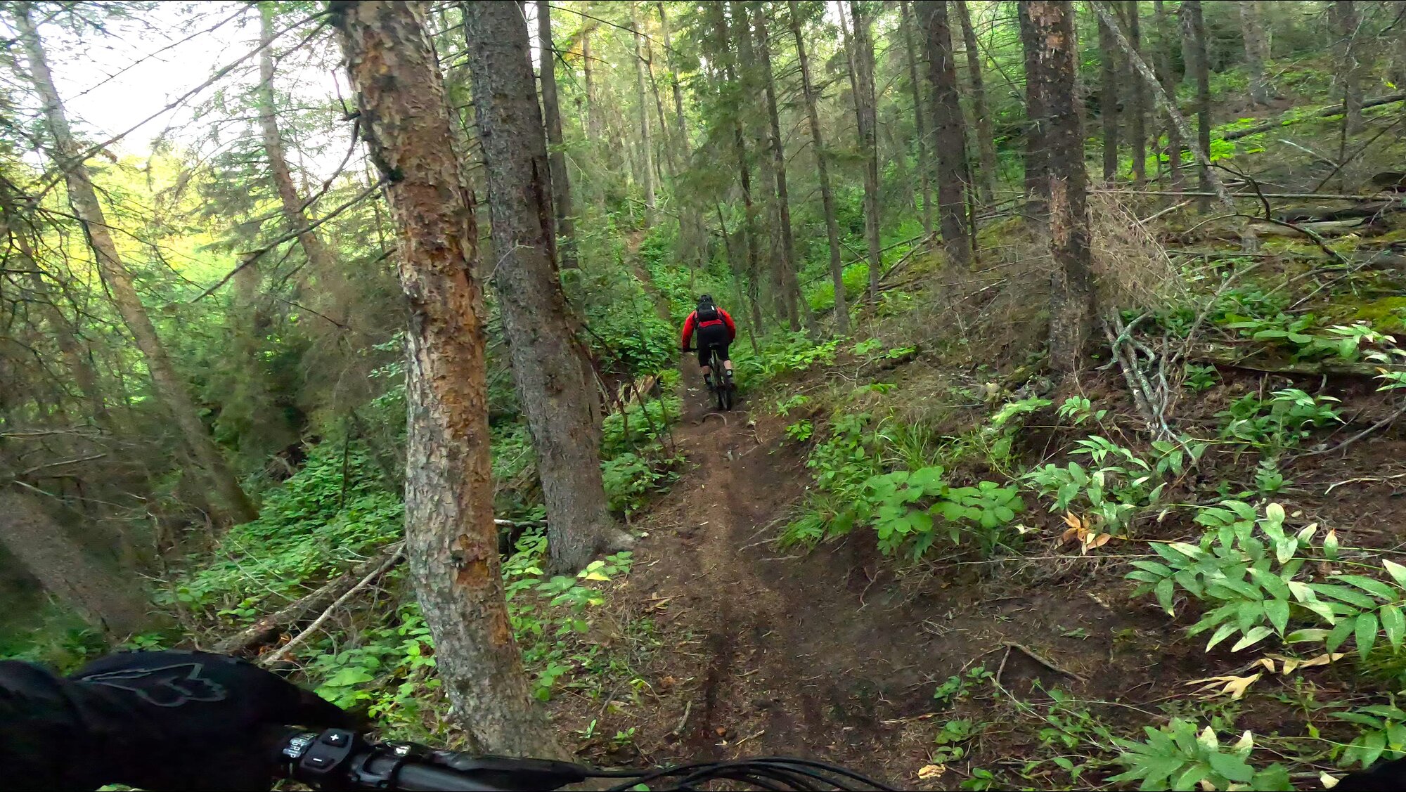 GX010305 - frame at 0m49s.jpg