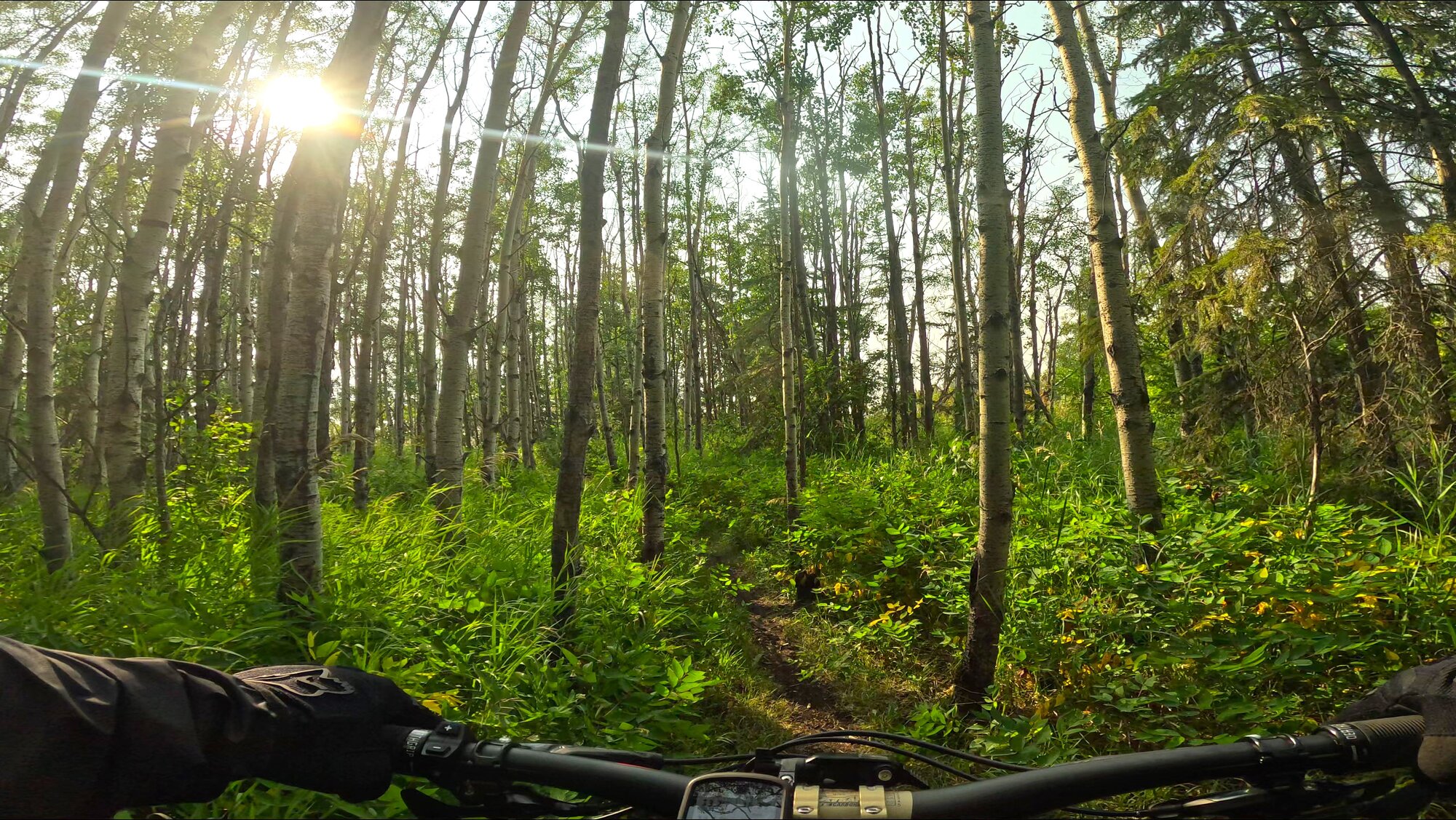 GX010309 - frame at 0m17s.jpg