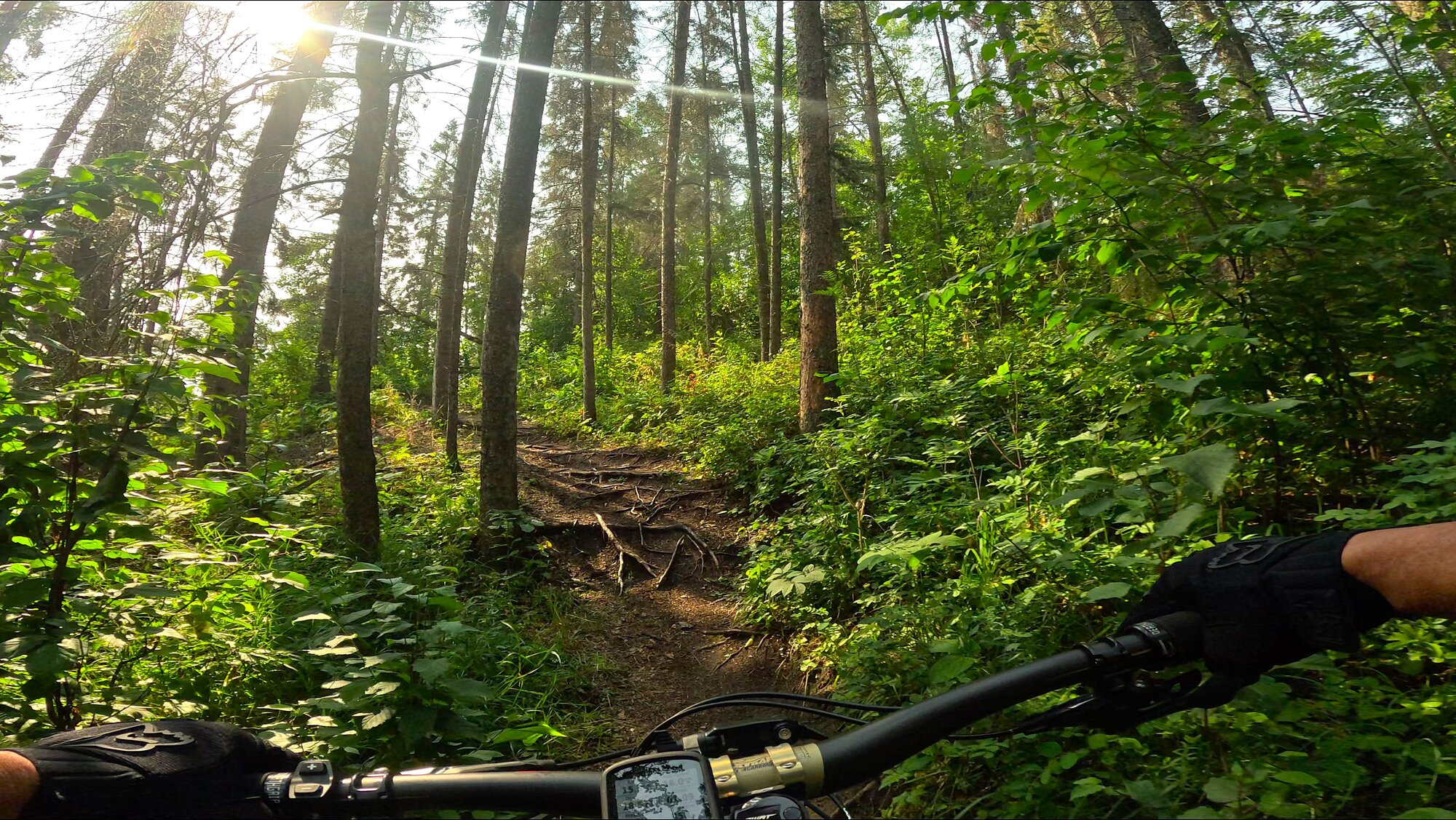 GX010313 - frame at 7m39s.jpg