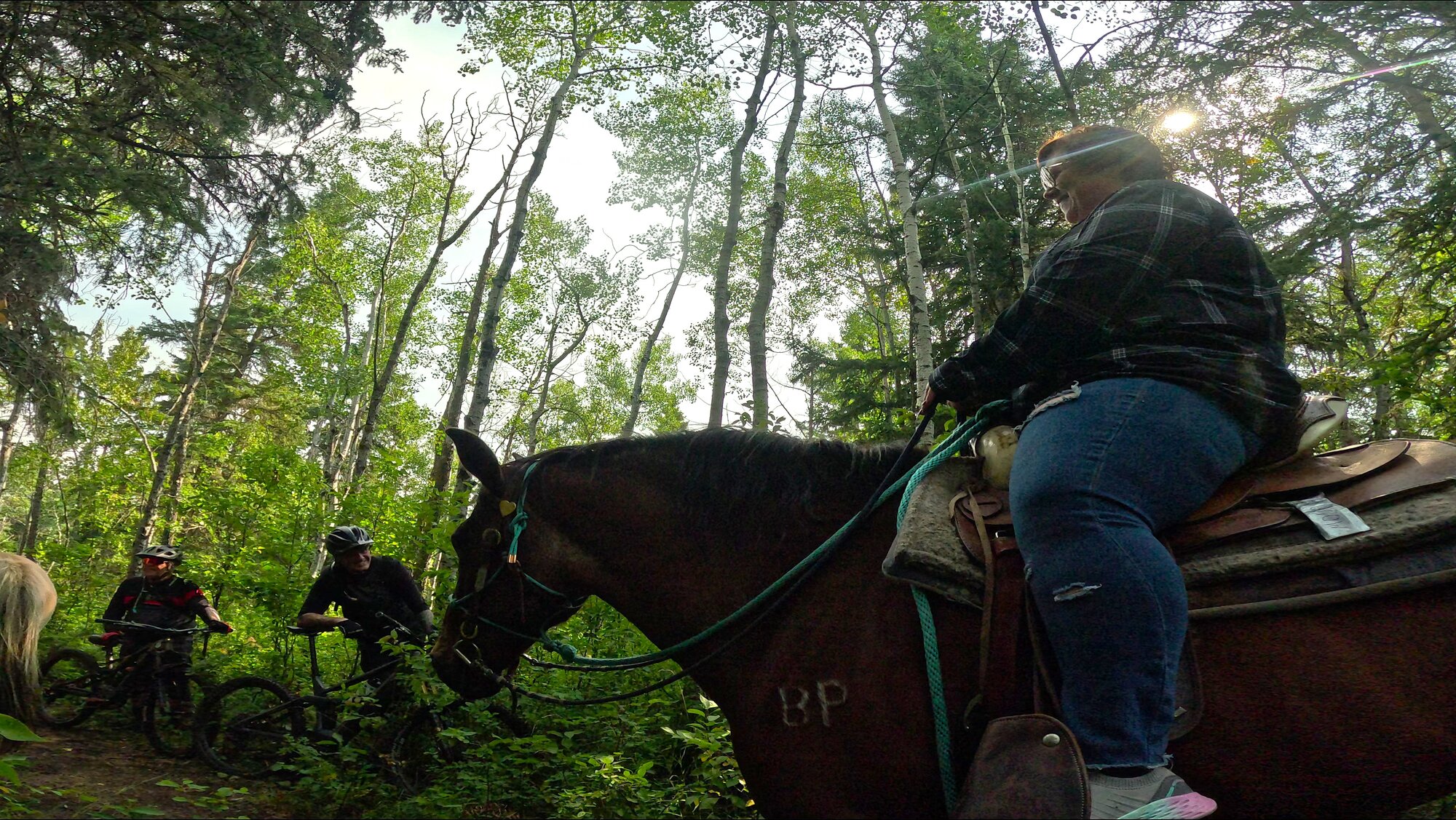 GX010316 - frame at 1m15s.jpg