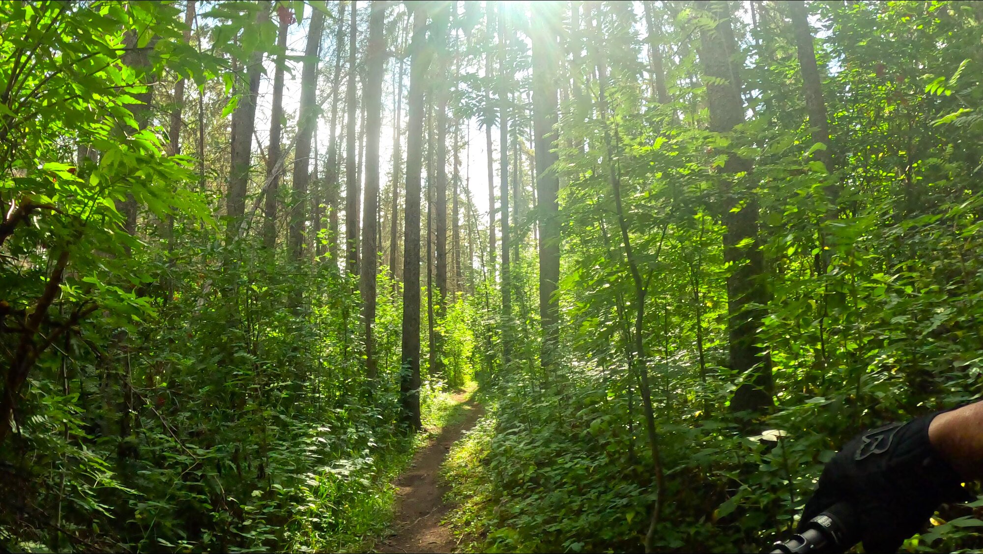 GX010318 - frame at 0m15s.jpg