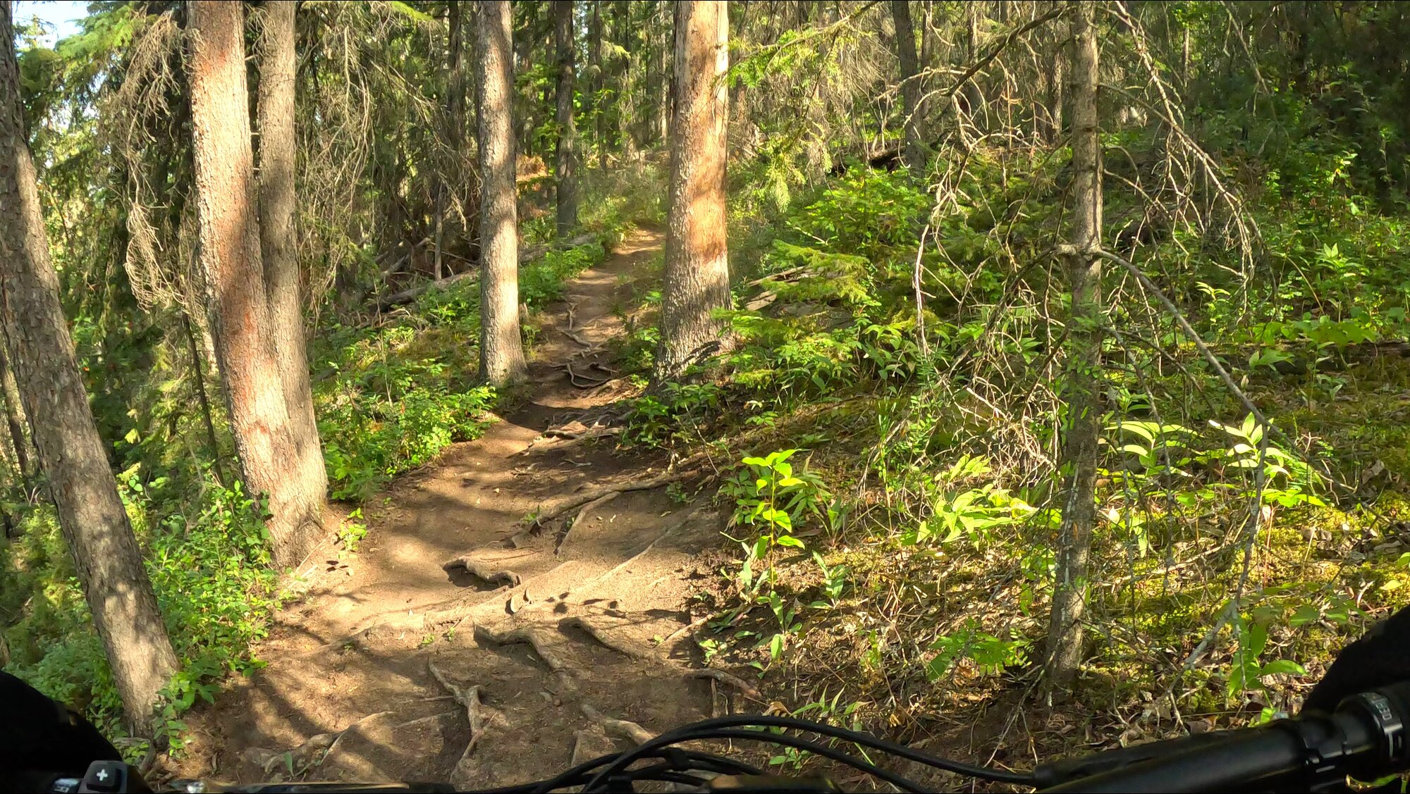 GX010320 - frame at 0m57s.jpg