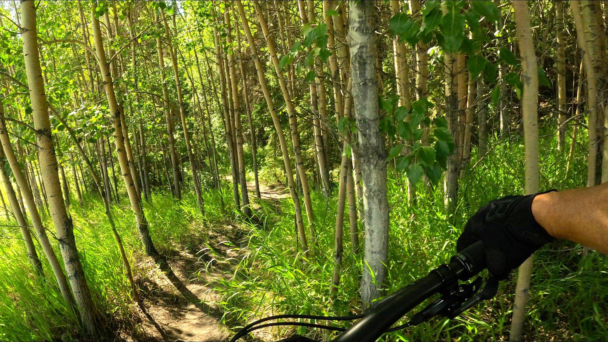 GX010324 - frame at 0m7s.jpg