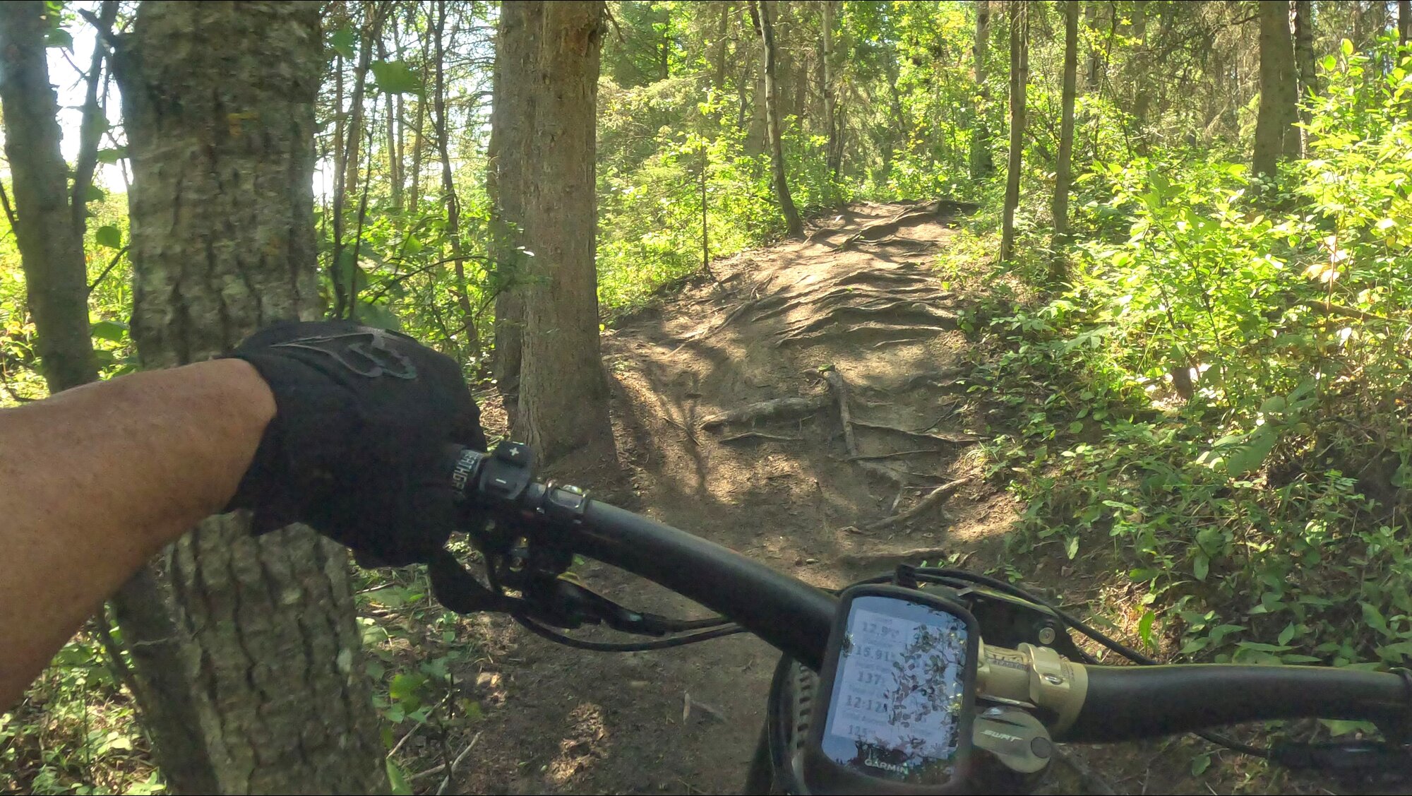 GX010324 - frame at 5m36s.jpg