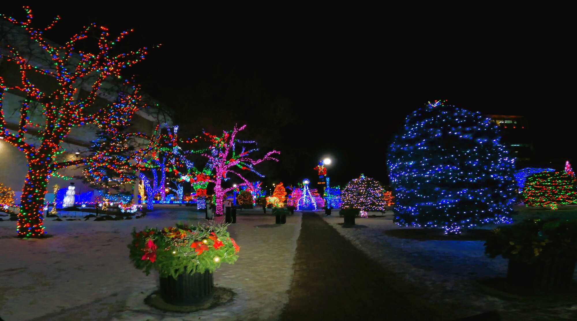 GX013077 - frame at 1m12s.jpg