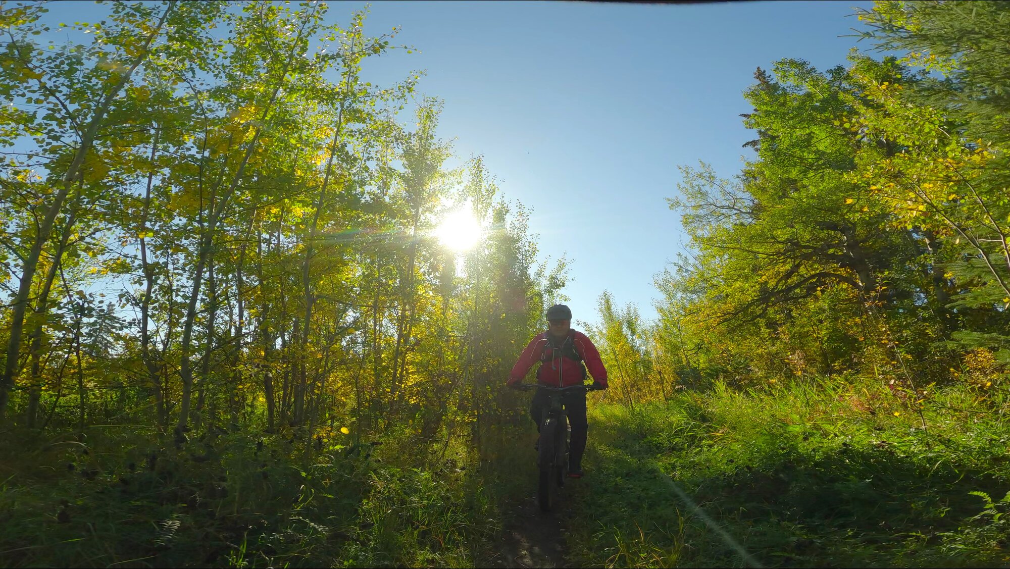 GX013709 - frame at 0m20s.jpg