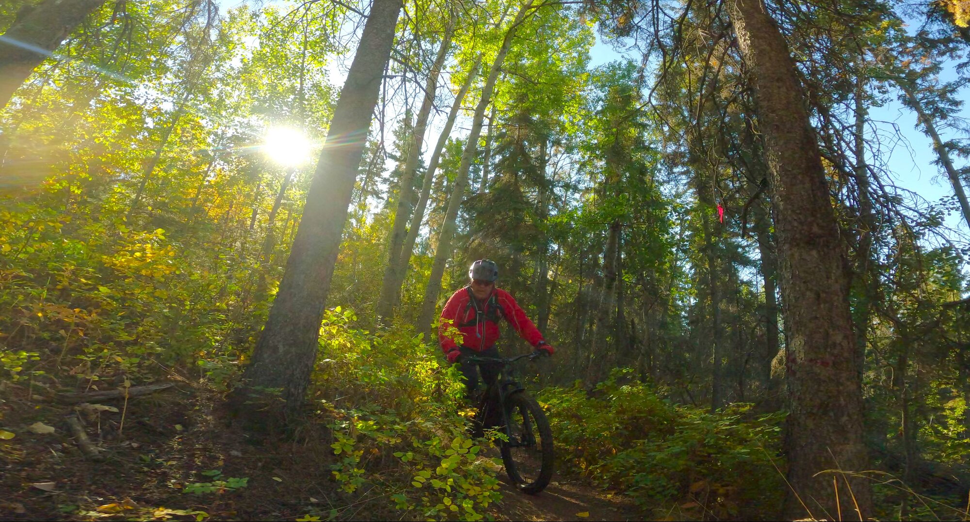 GX013711 - frame at 3m19s.jpg