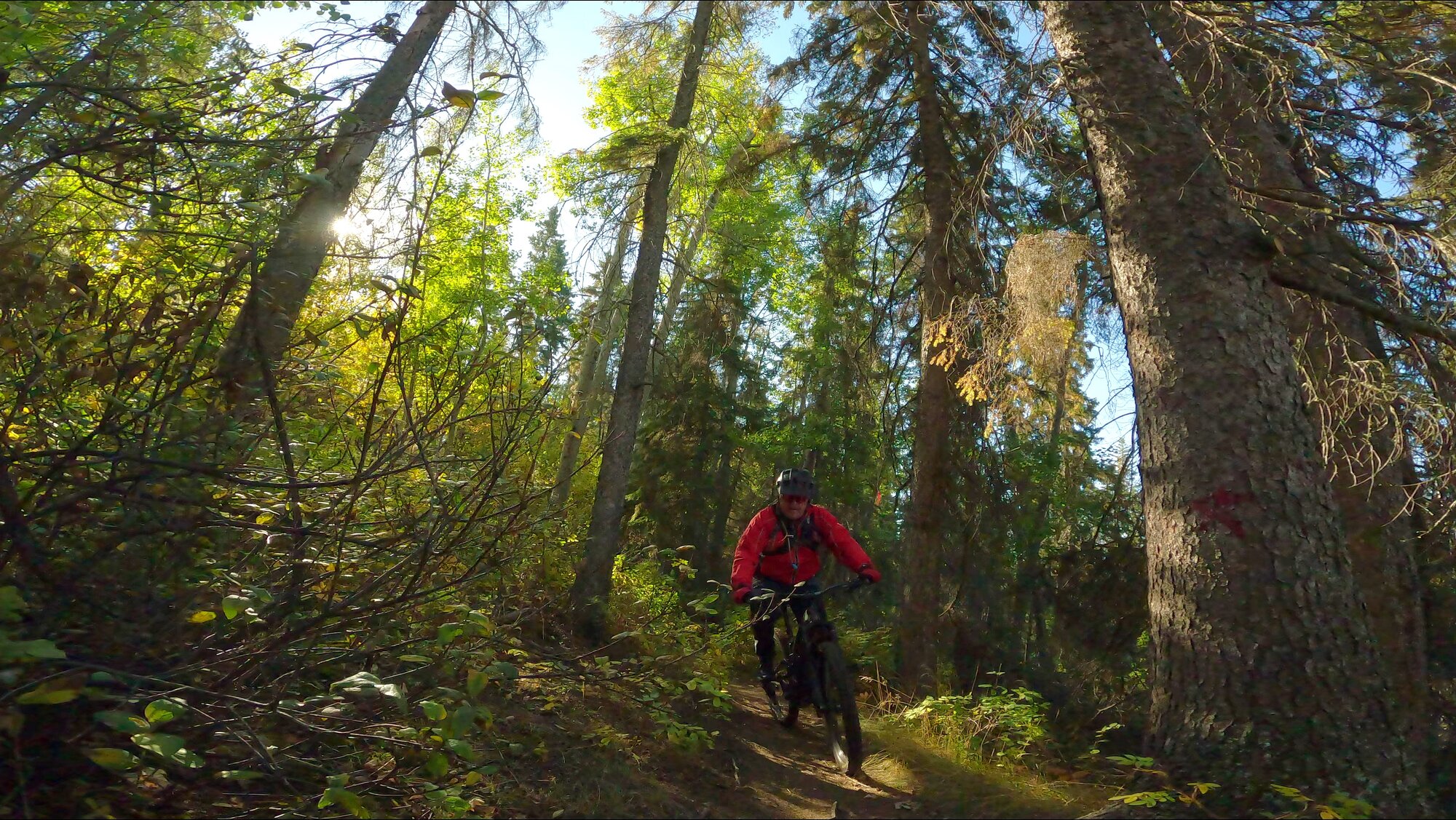 GX013711 - frame at 3m20s.jpg