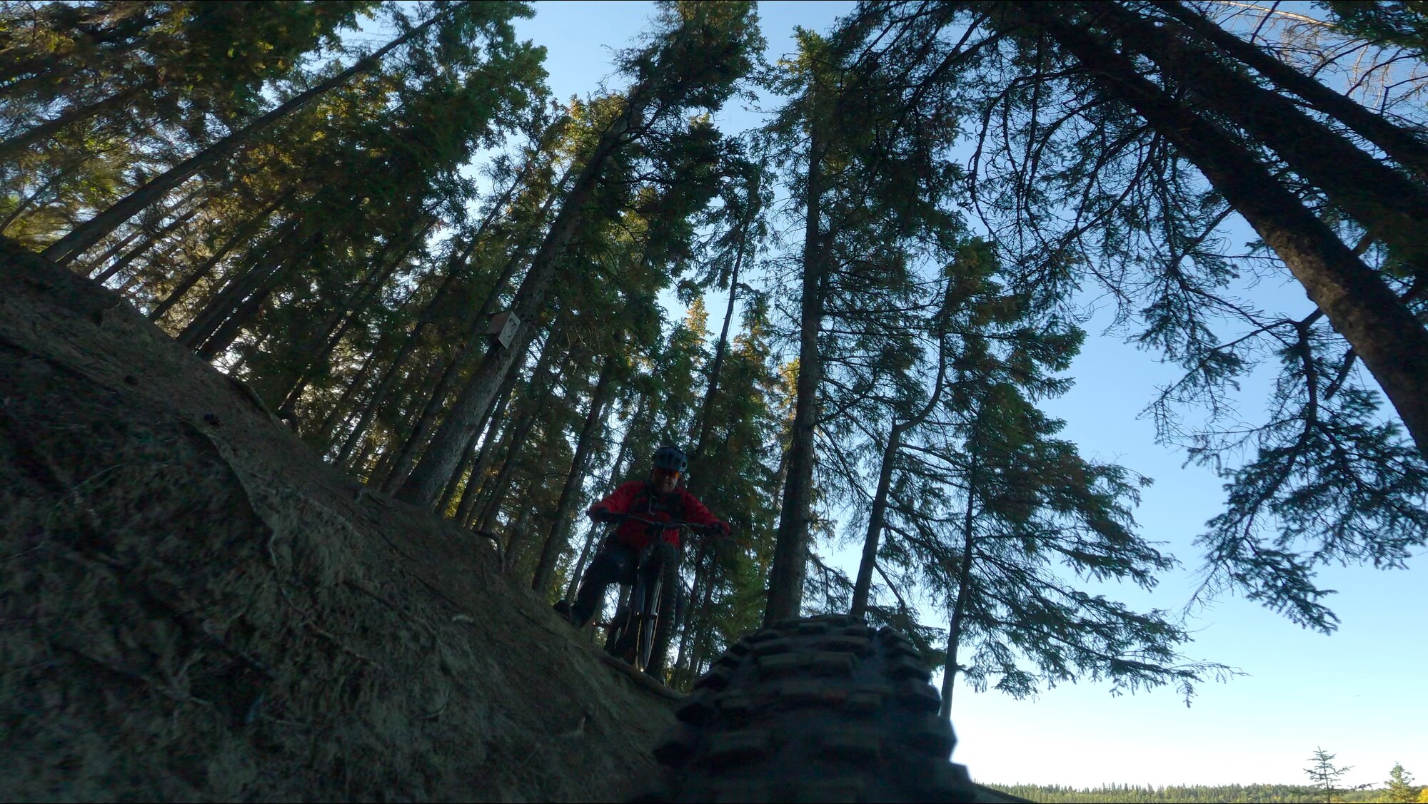 GX013712 - frame at 0m52s.jpg