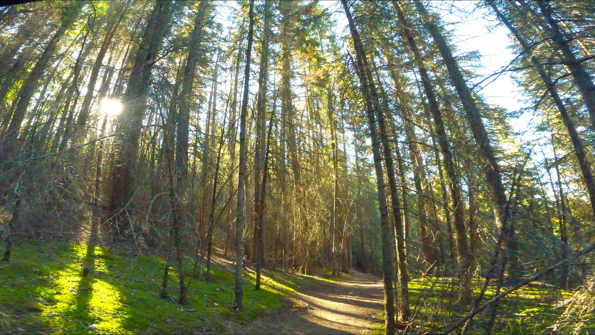 GX013712 - frame at 1m27s.jpg