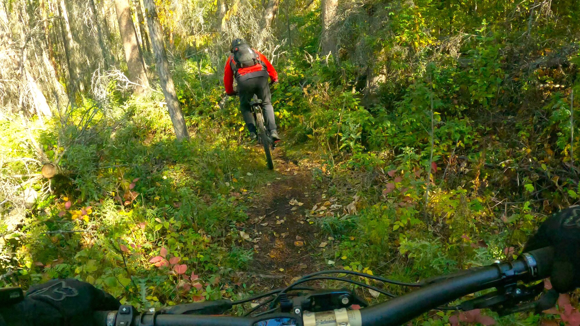 GX013759 - frame at 0m27s.jpg