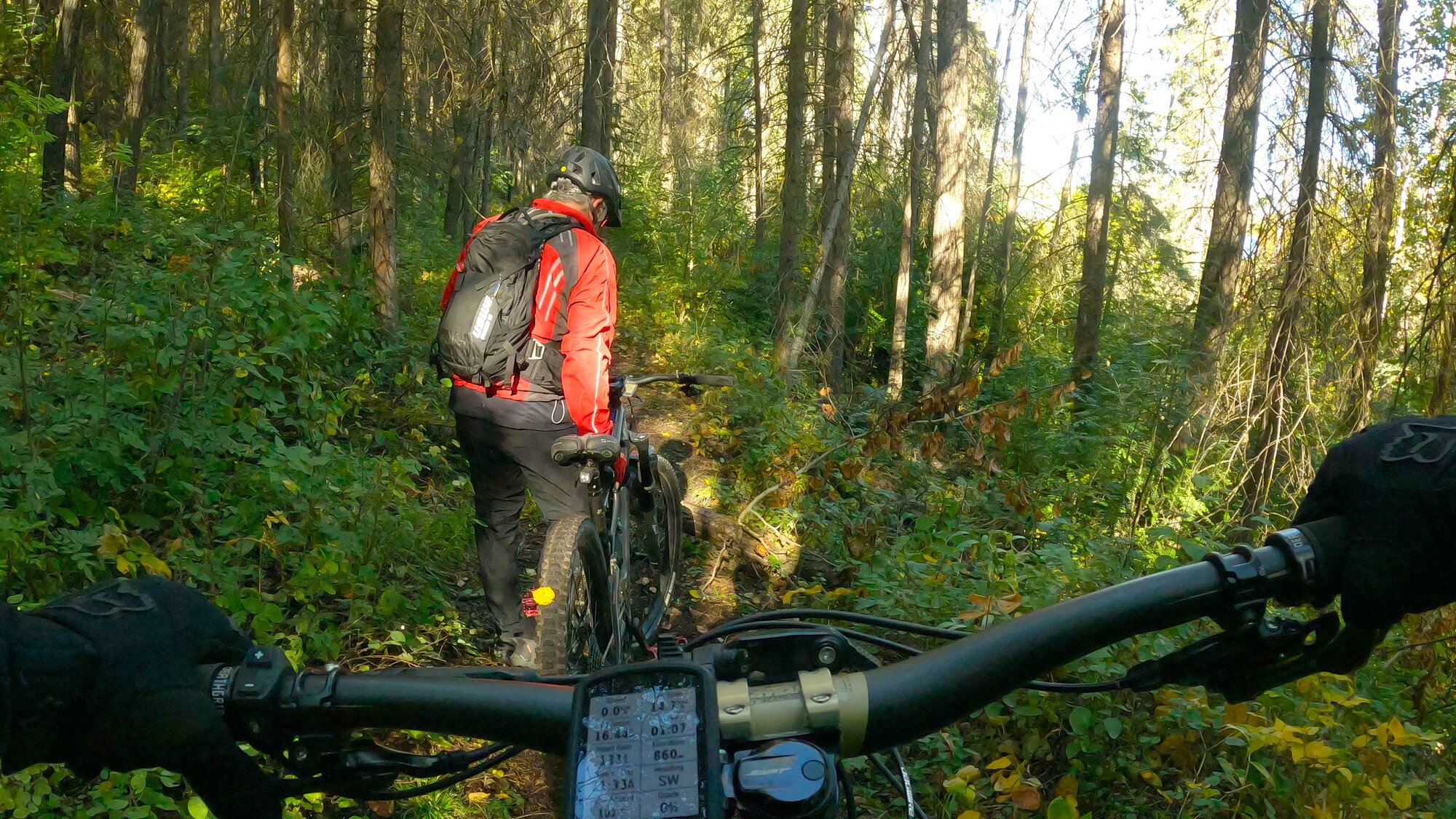 GX013762 - frame at 3m3s.jpg