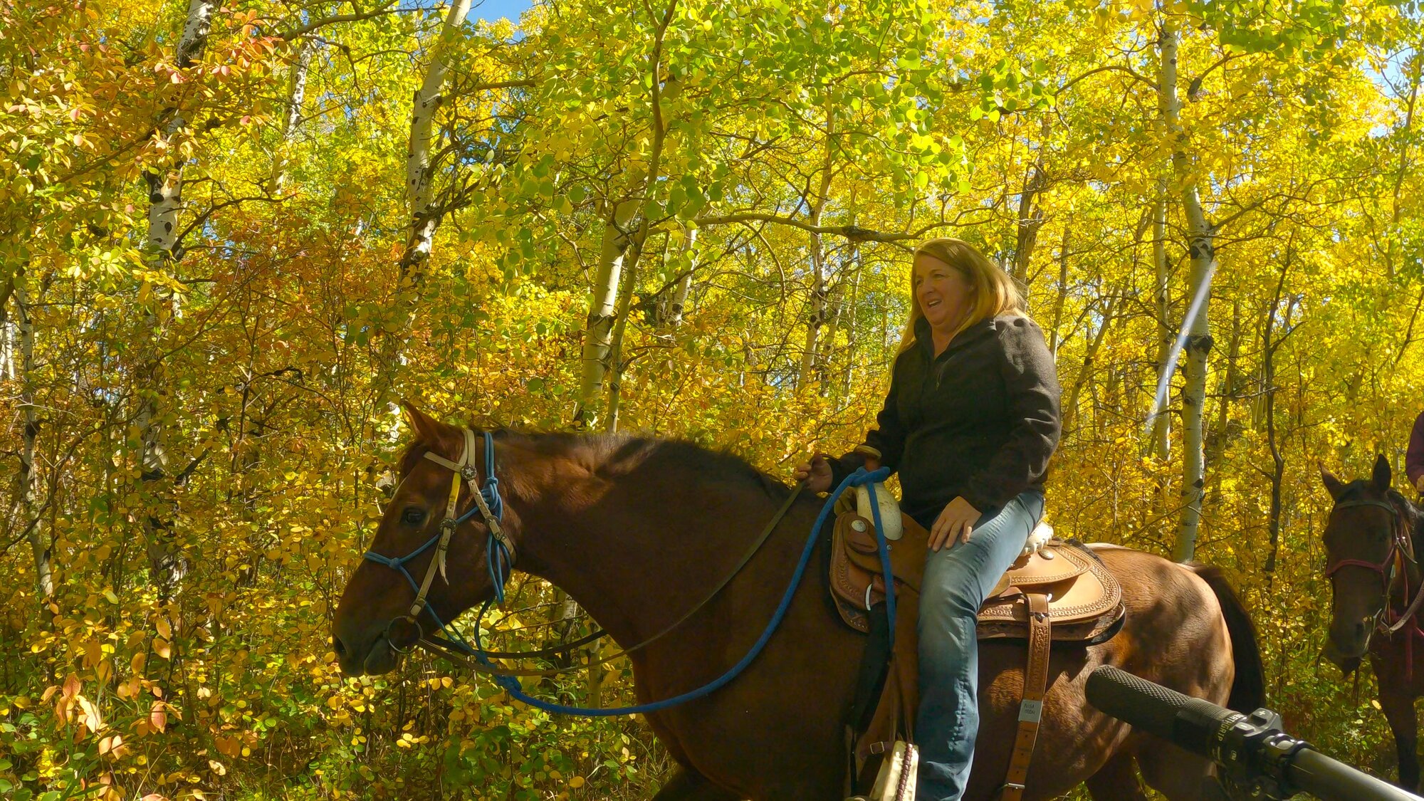 GX013769 - frame at 2m0s.jpg