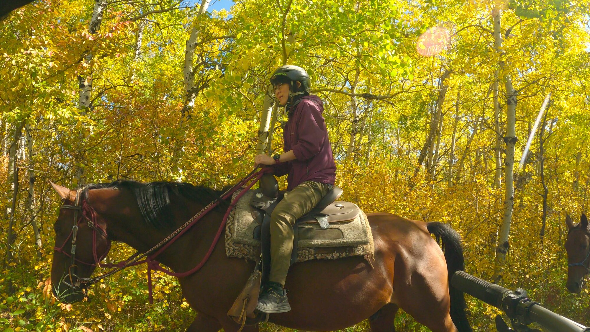 GX013769 - frame at 2m4s.jpg