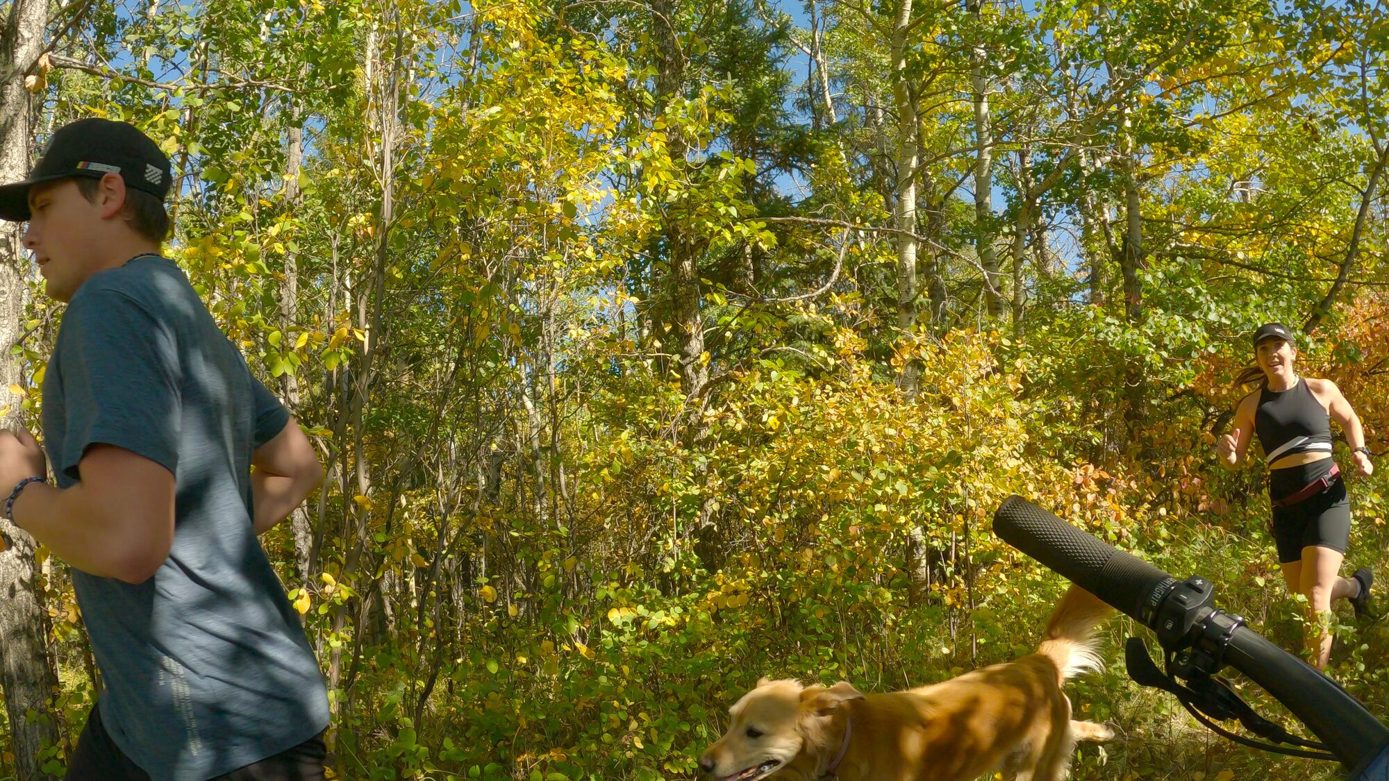 GX013769 - frame at 3m13s.jpg