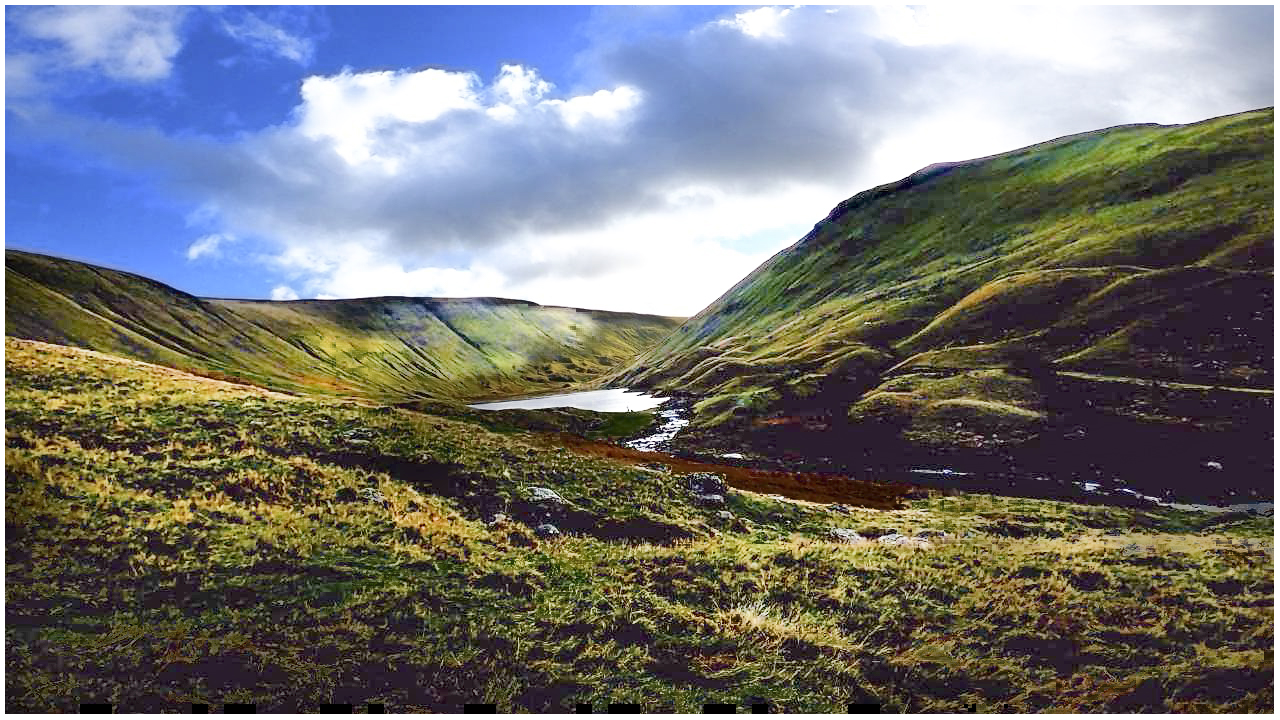 HARTSOP5.jpg
