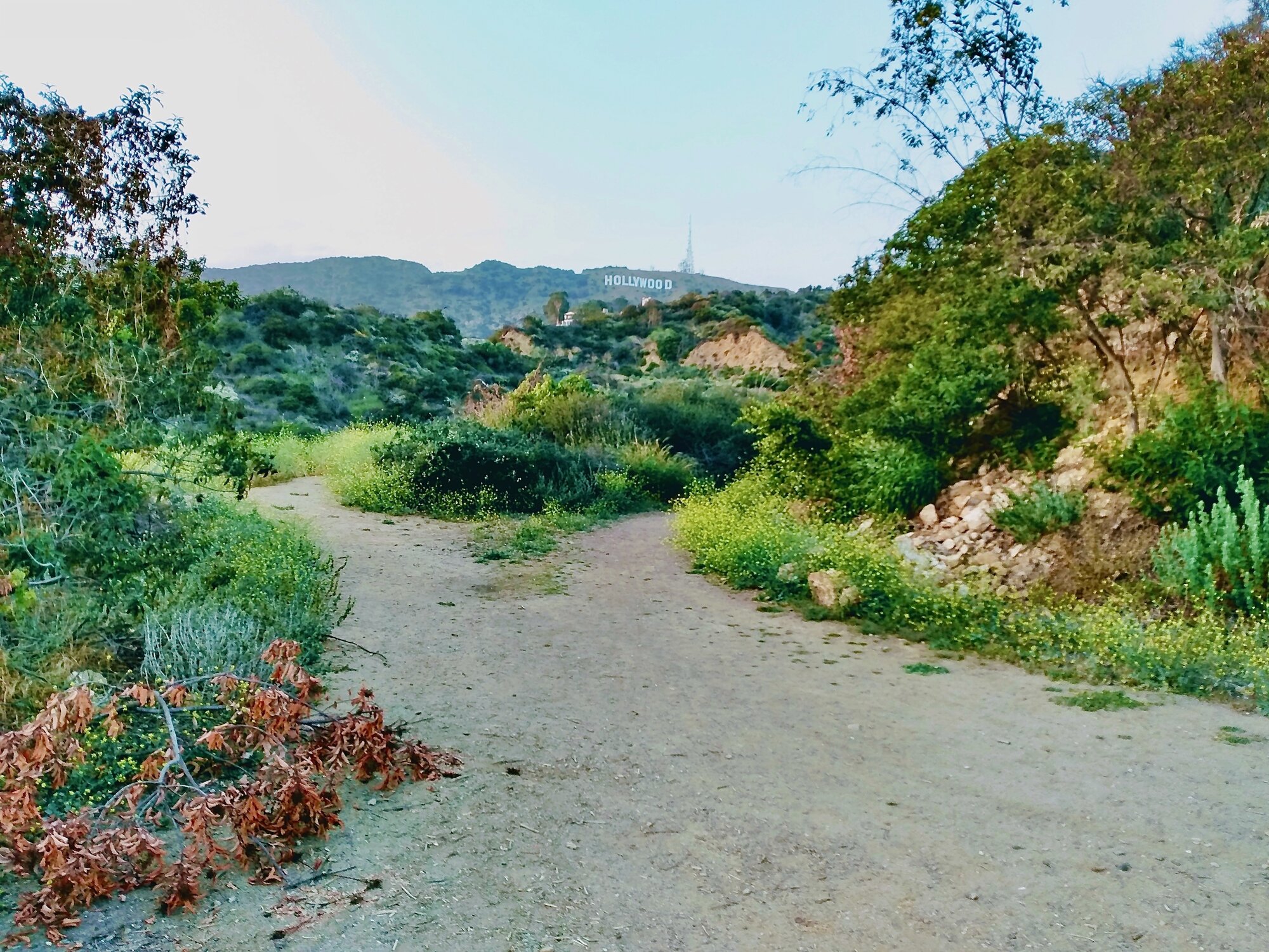 Hollywood Trail - 1.jpeg