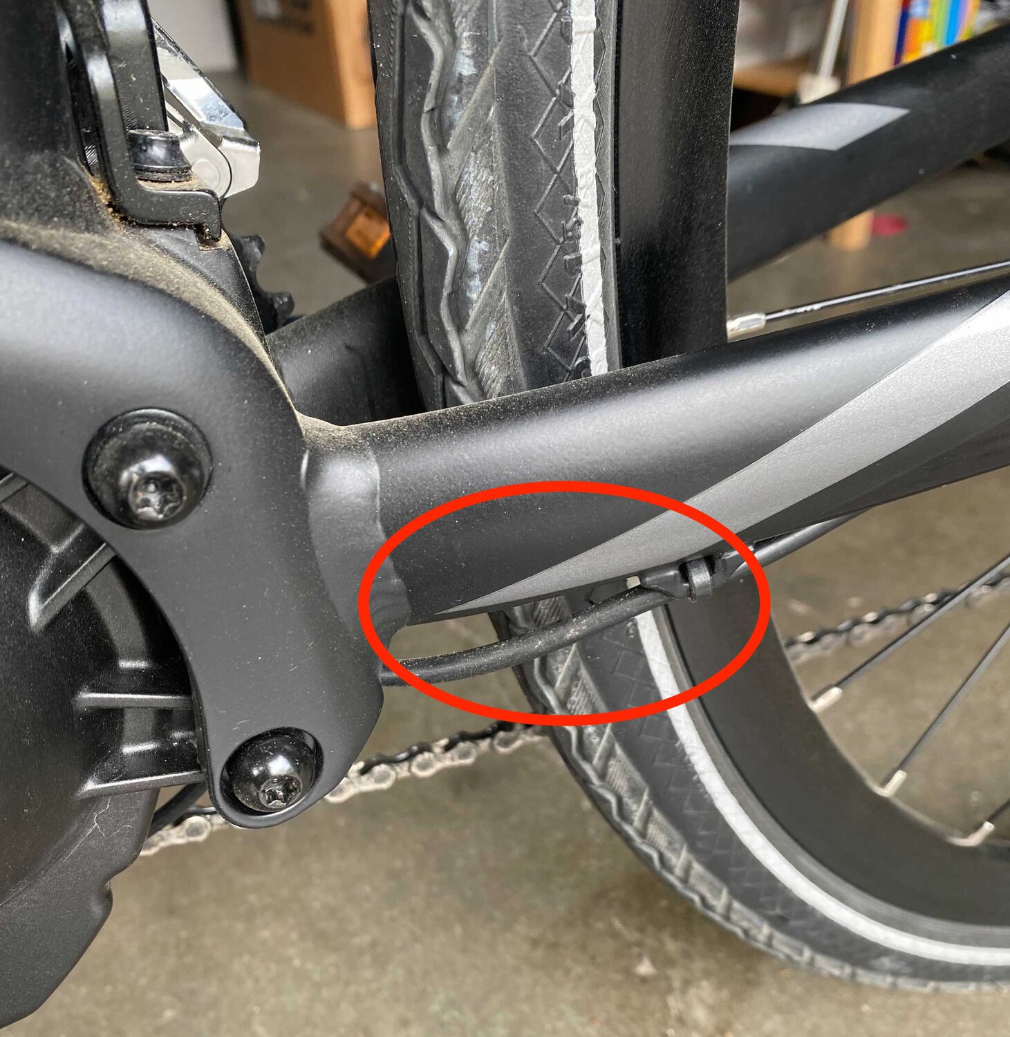 Image from iOS (1).jpg