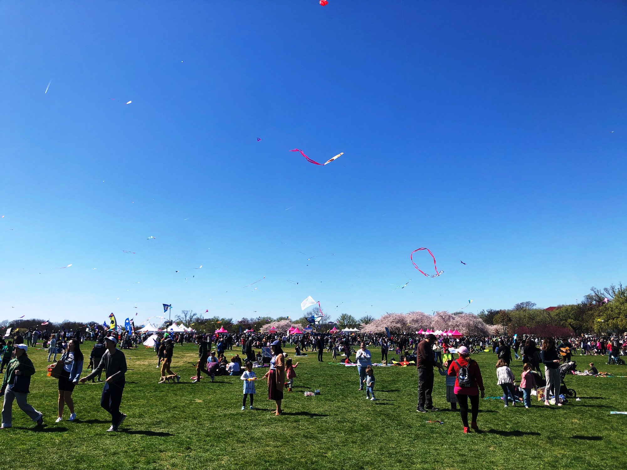 IMG-4987.JPG