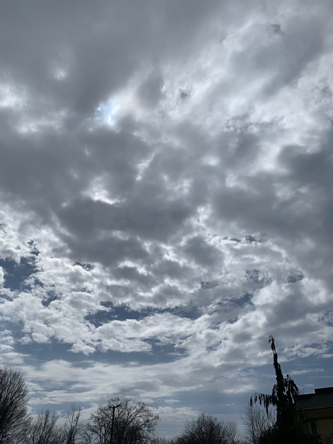 IMG_004373.jpg IMG_004373.jpg