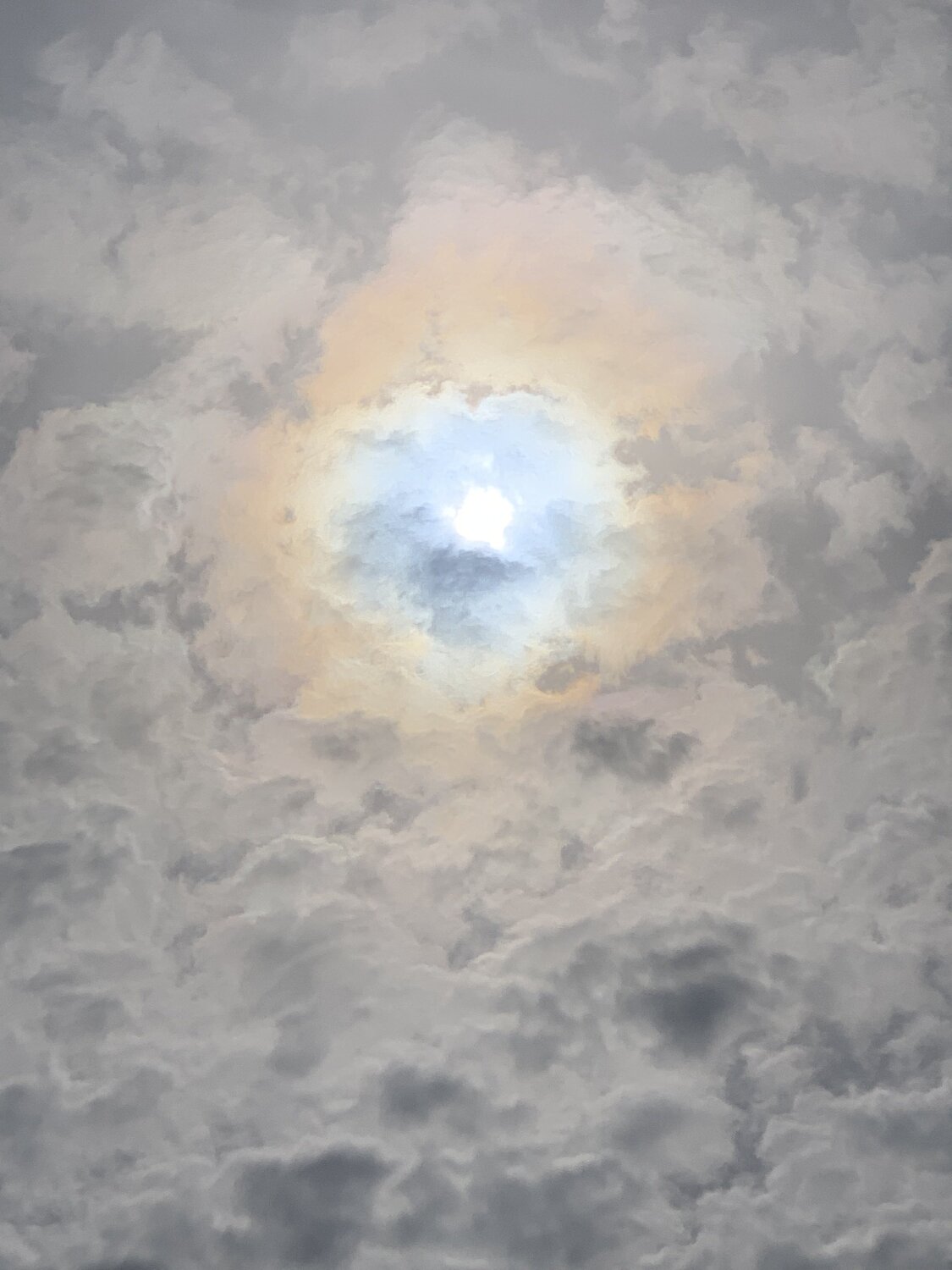 IMG_004379.jpg IMG_004379.jpg