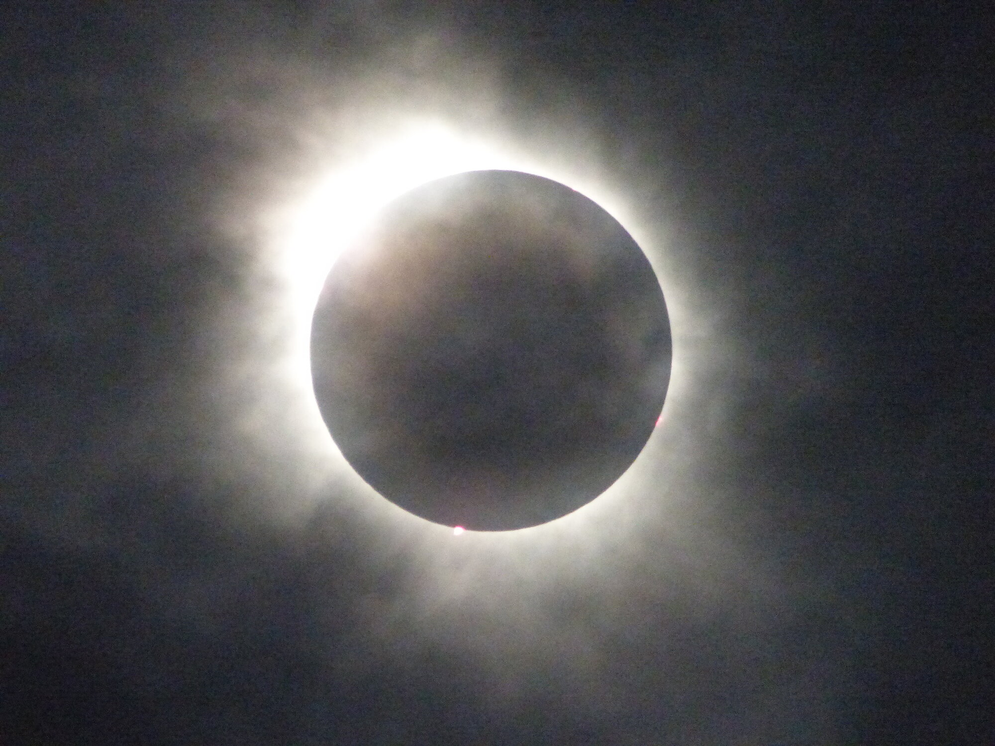 IMG_004450.JPG IMG_004450.JPG