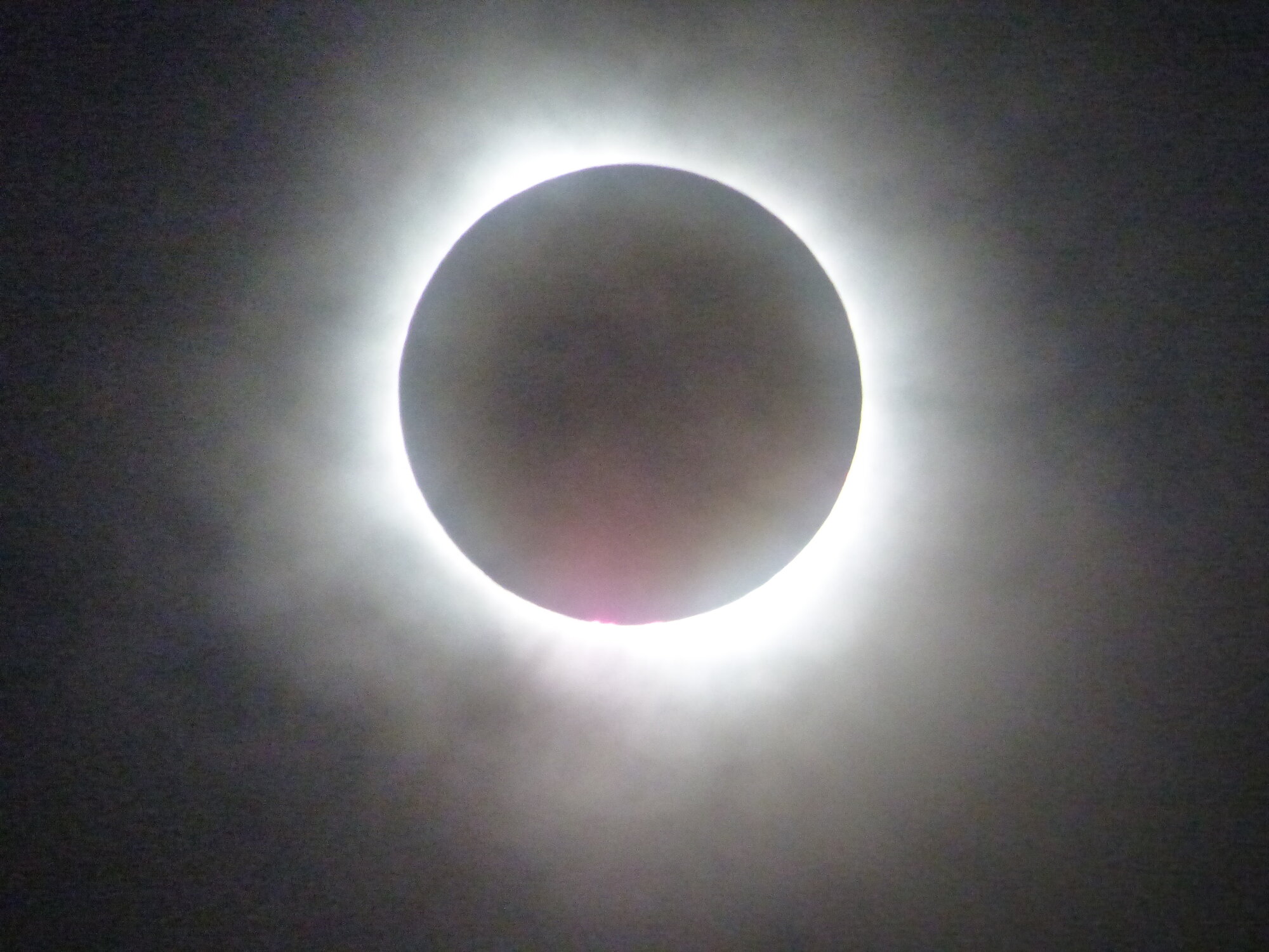 IMG_004461.JPG IMG_004461.JPG