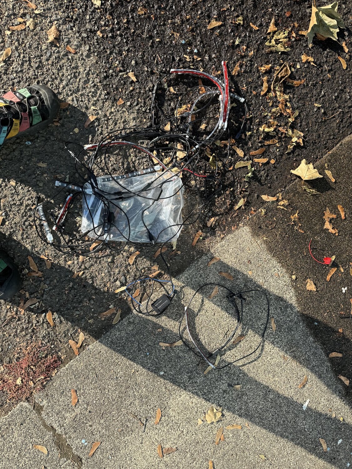 IMG_0152.jpeg IMG_0152.jpeg